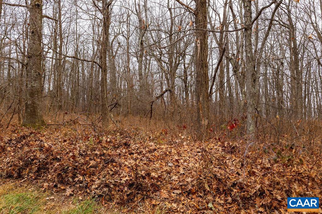 579 LAUREL SPRINGS DR