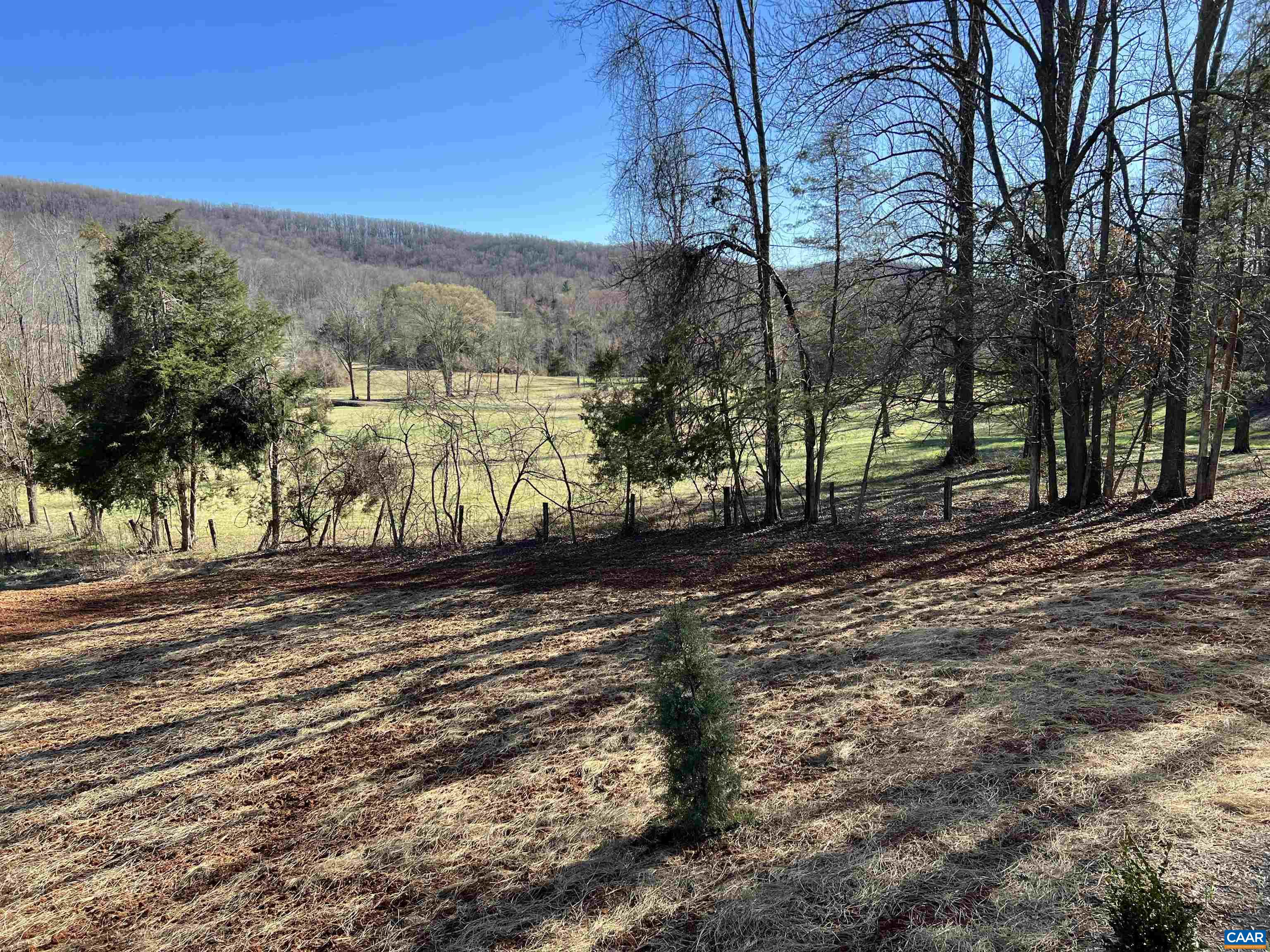 3123 SCOTTSVILLE RD