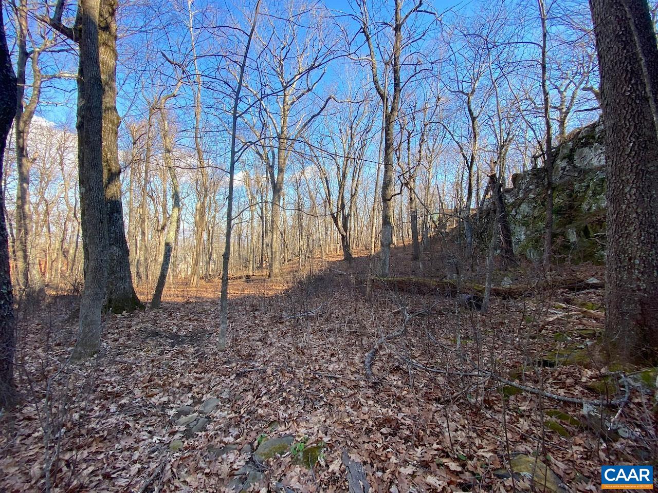 462 DEER SPRINGS LN