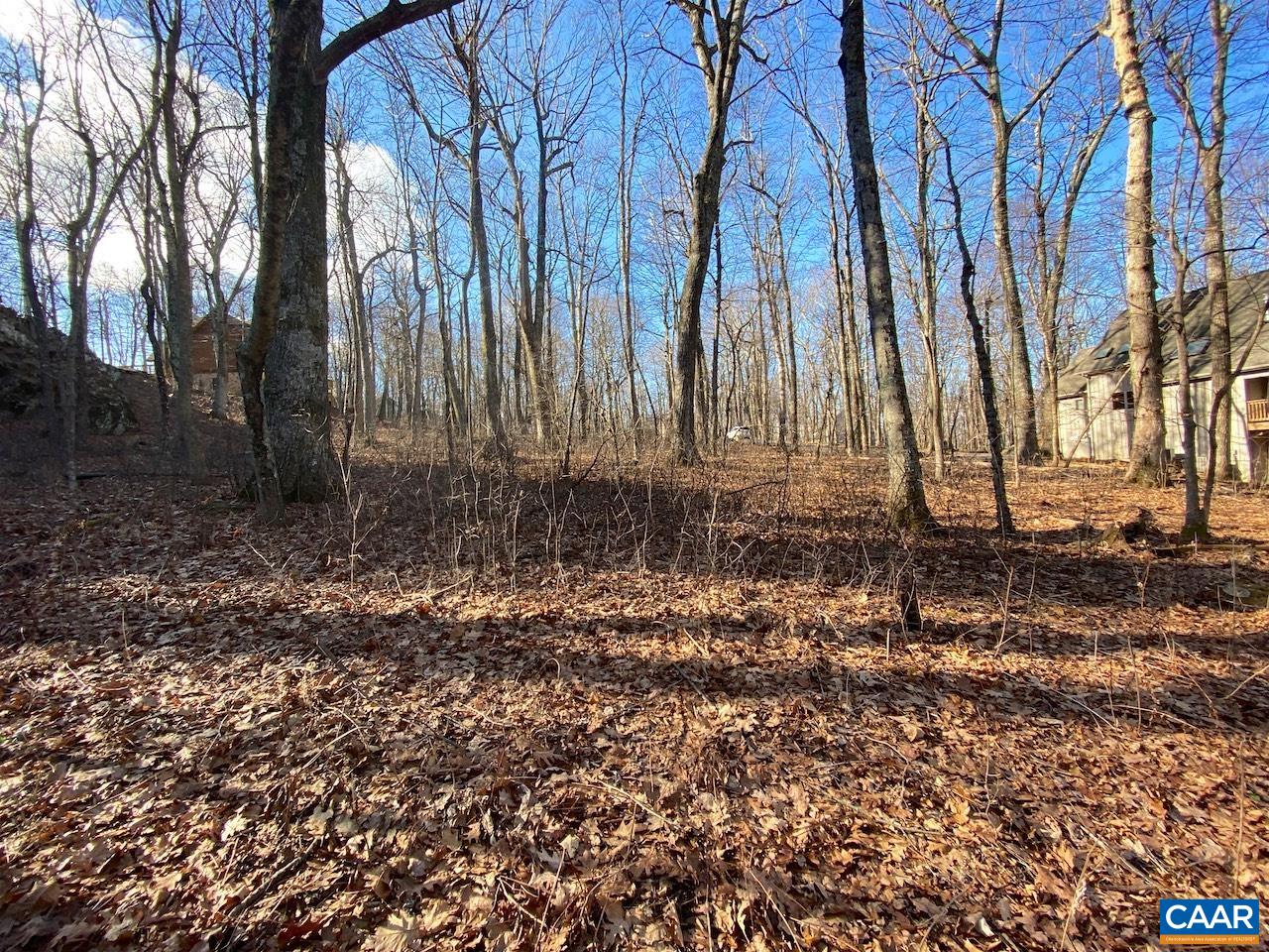 462 DEER SPRINGS LN