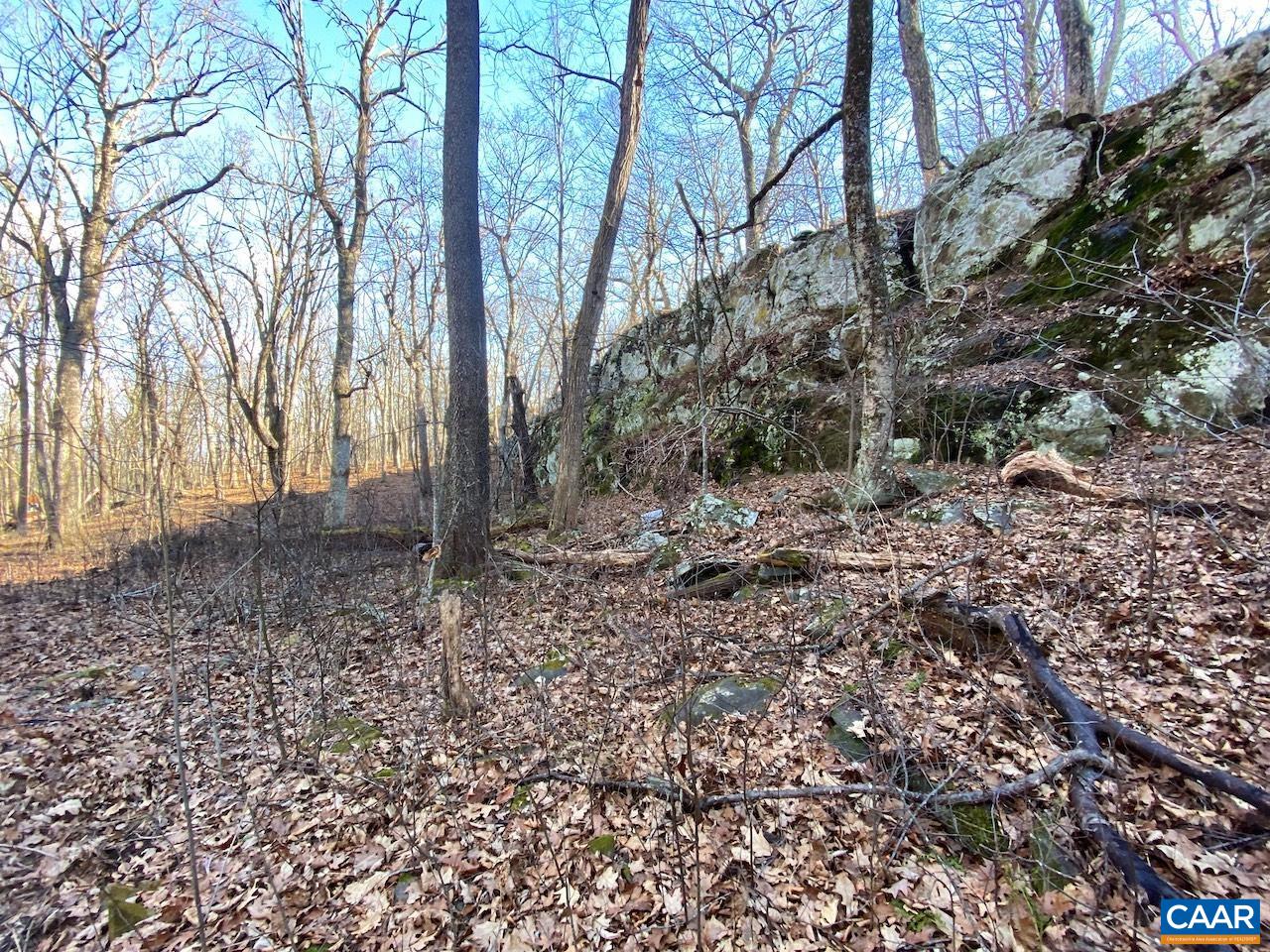 462 DEER SPRINGS LN