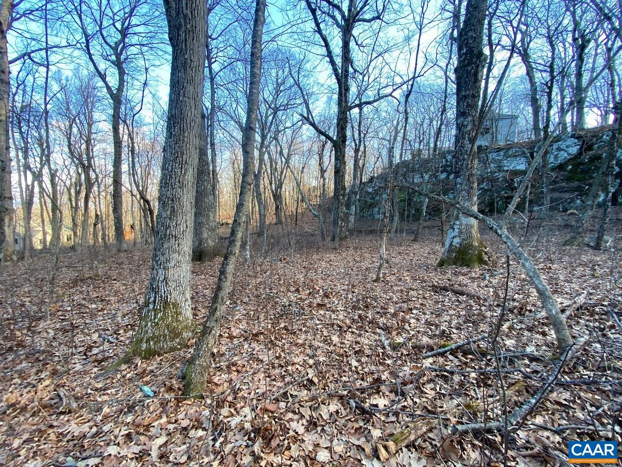 462 DEER SPRINGS LN
