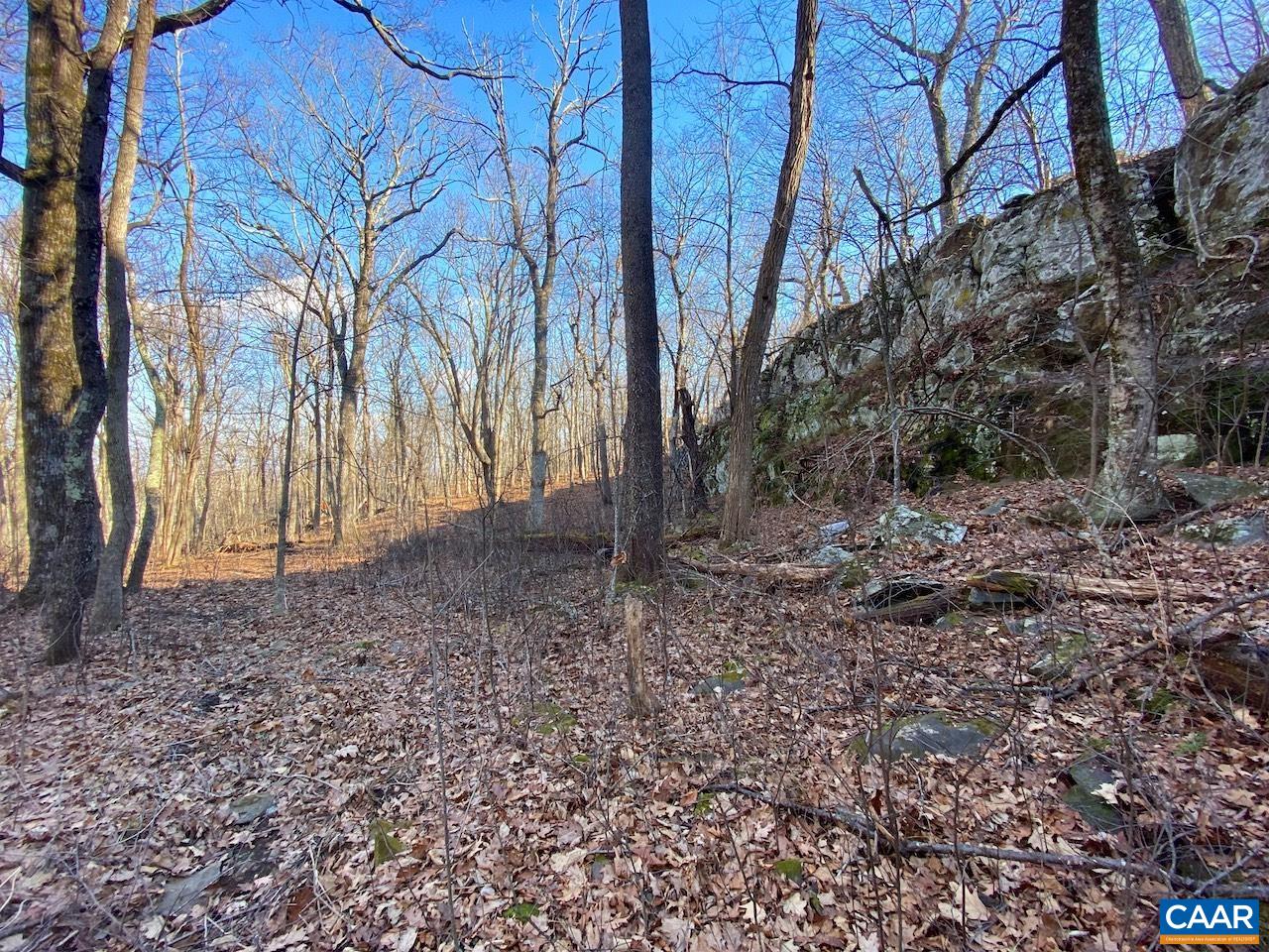 462 DEER SPRINGS LN