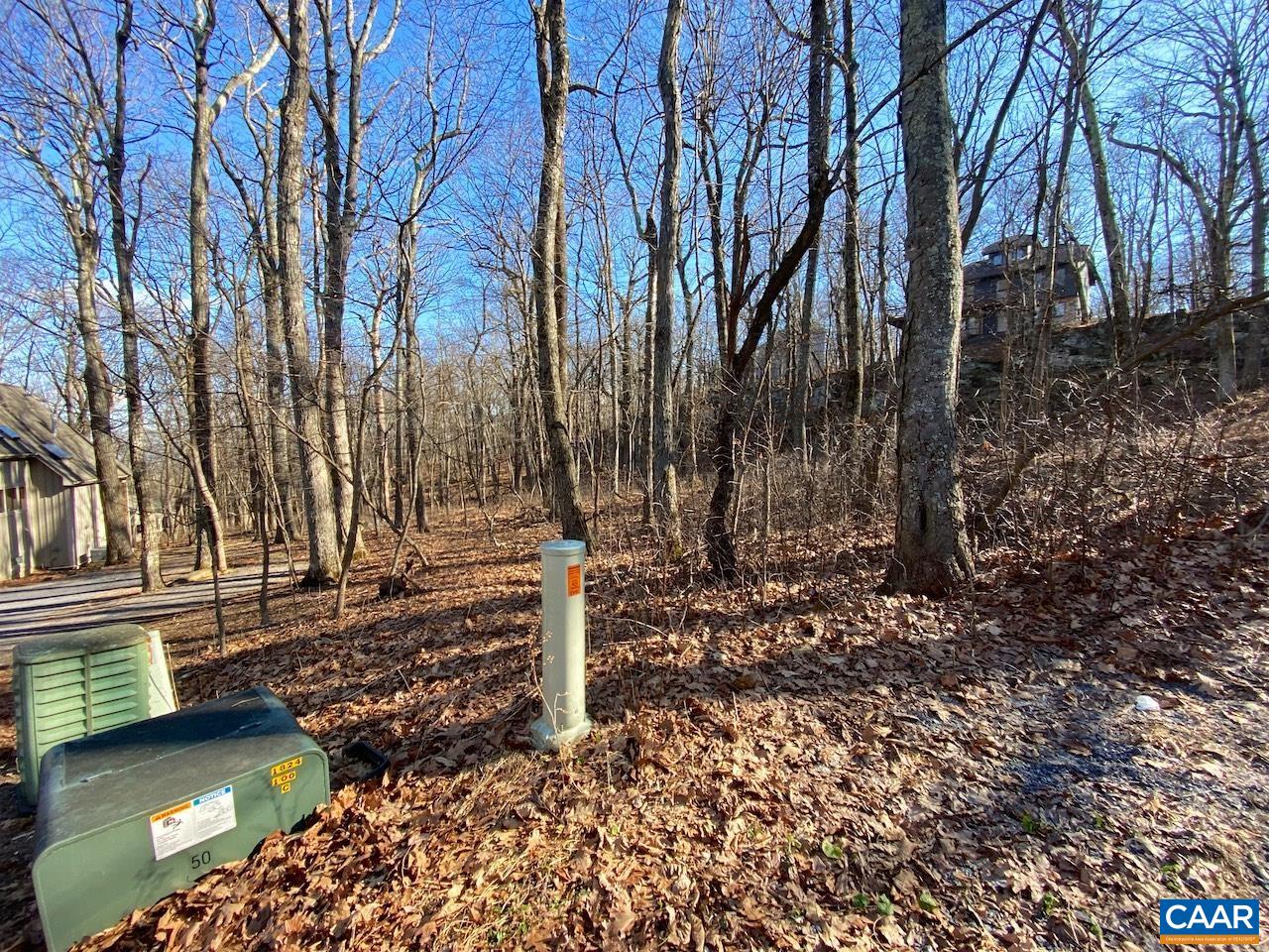 462 DEER SPRINGS LN