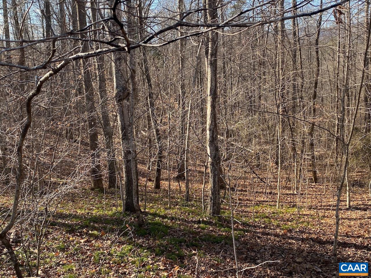 WALNUT GROVE LN