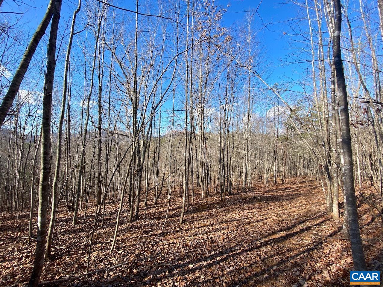 WALNUT GROVE LN