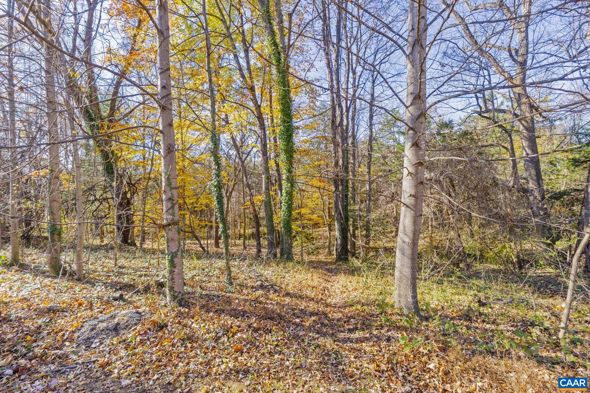 1490 WICKHAM POND DR