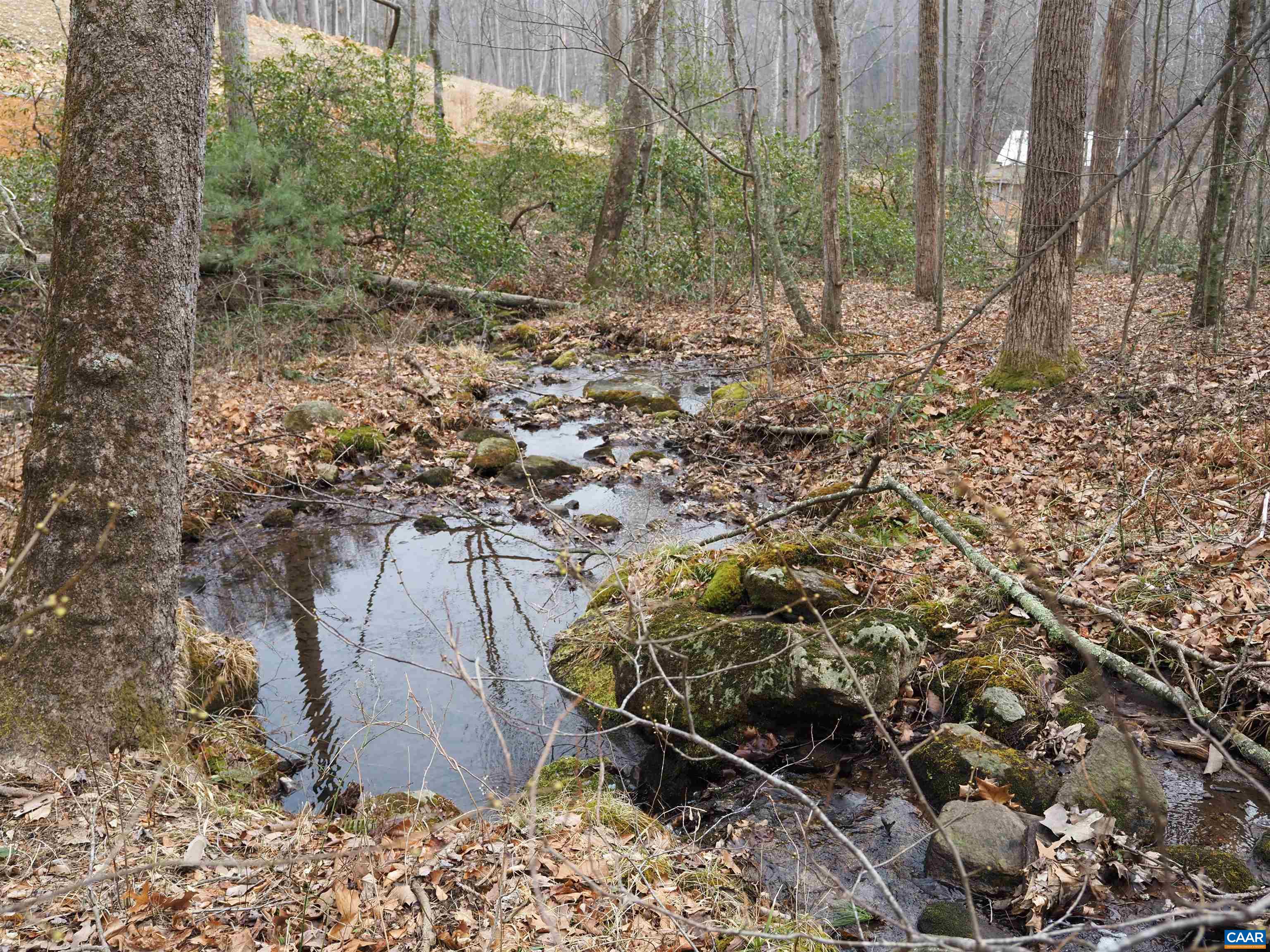 48 acres BLACKWELLS HOLLOW RD