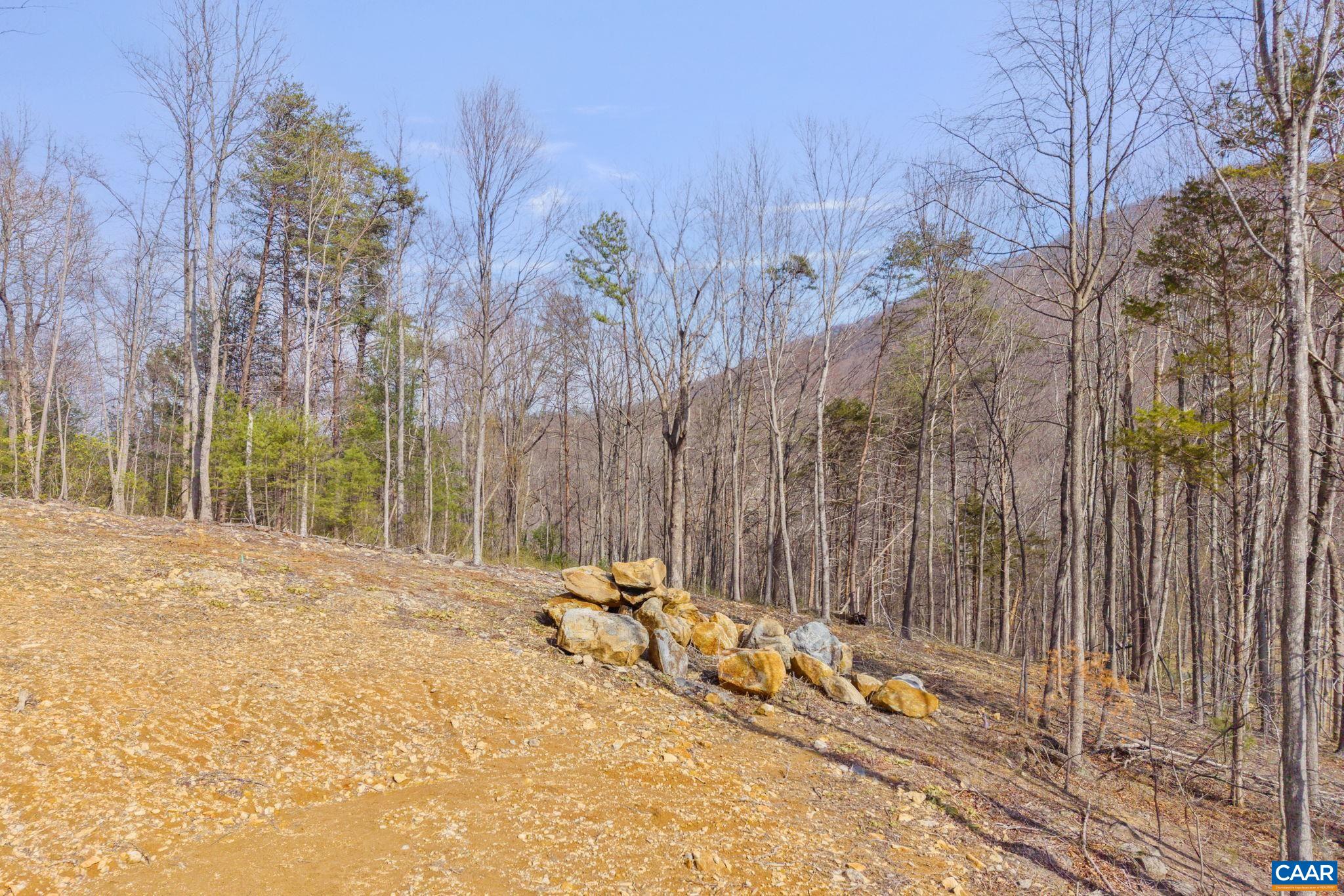 48 acres BLACKWELLS HOLLOW RD