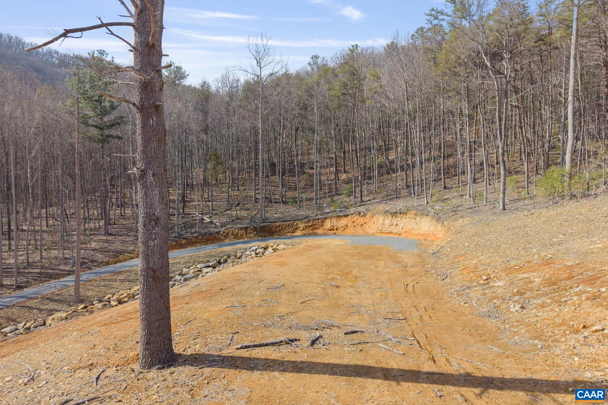 48 acres BLACKWELLS HOLLOW RD