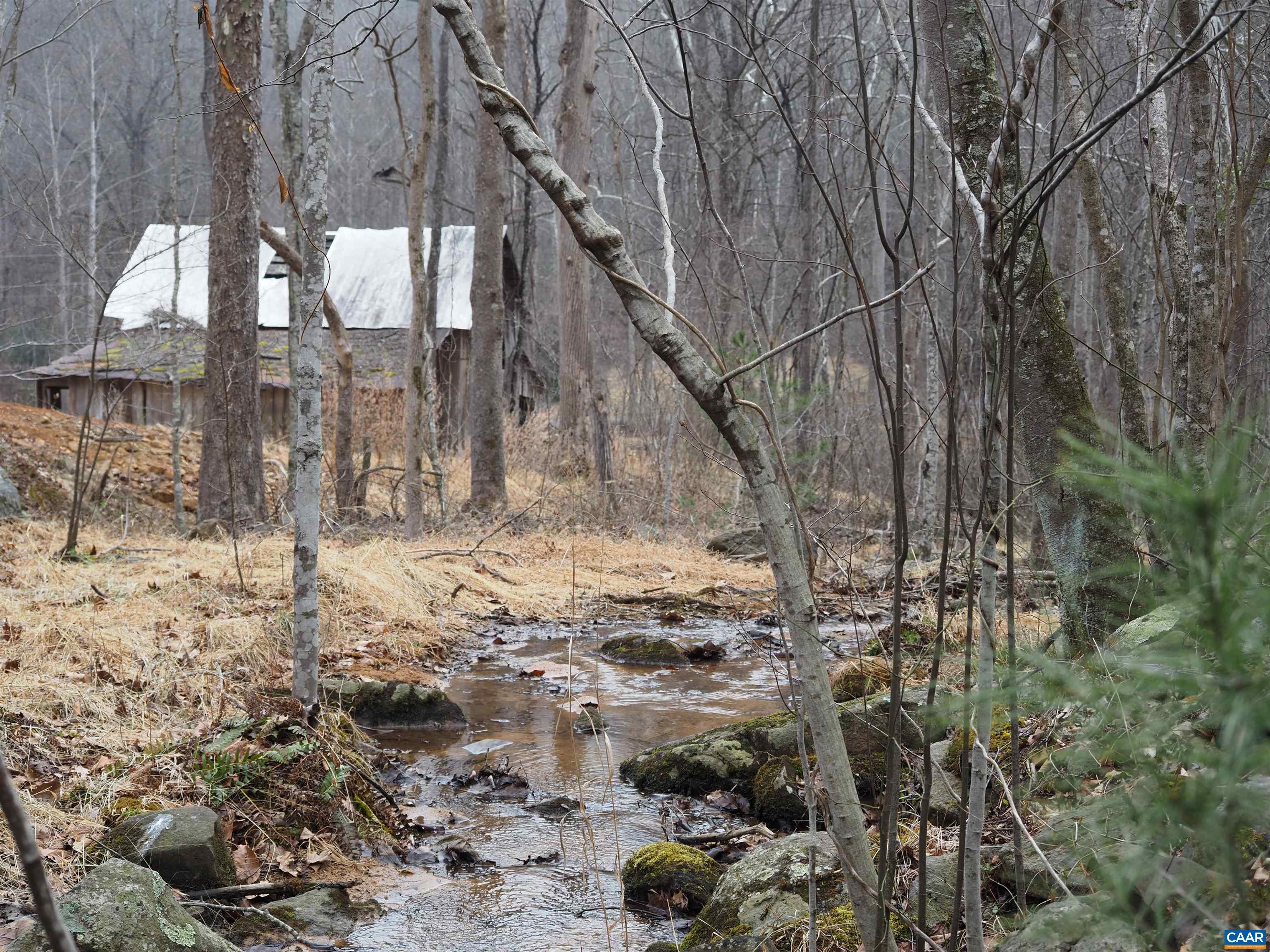 48 acres BLACKWELLS HOLLOW RD