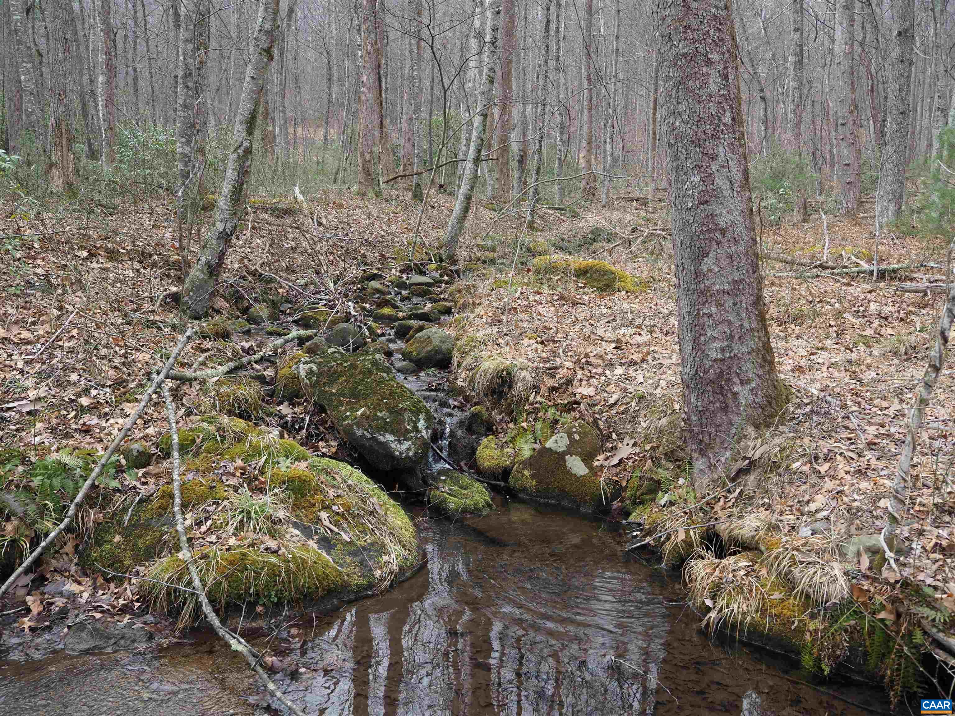 48 acres BLACKWELLS HOLLOW RD
