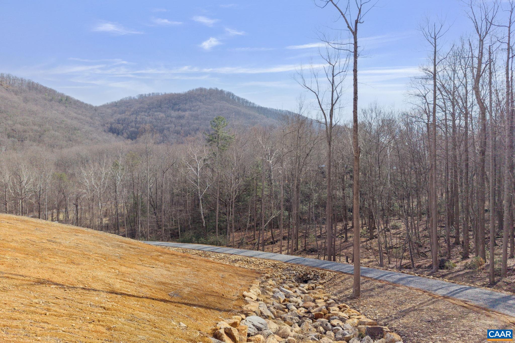 48 acres BLACKWELLS HOLLOW RD