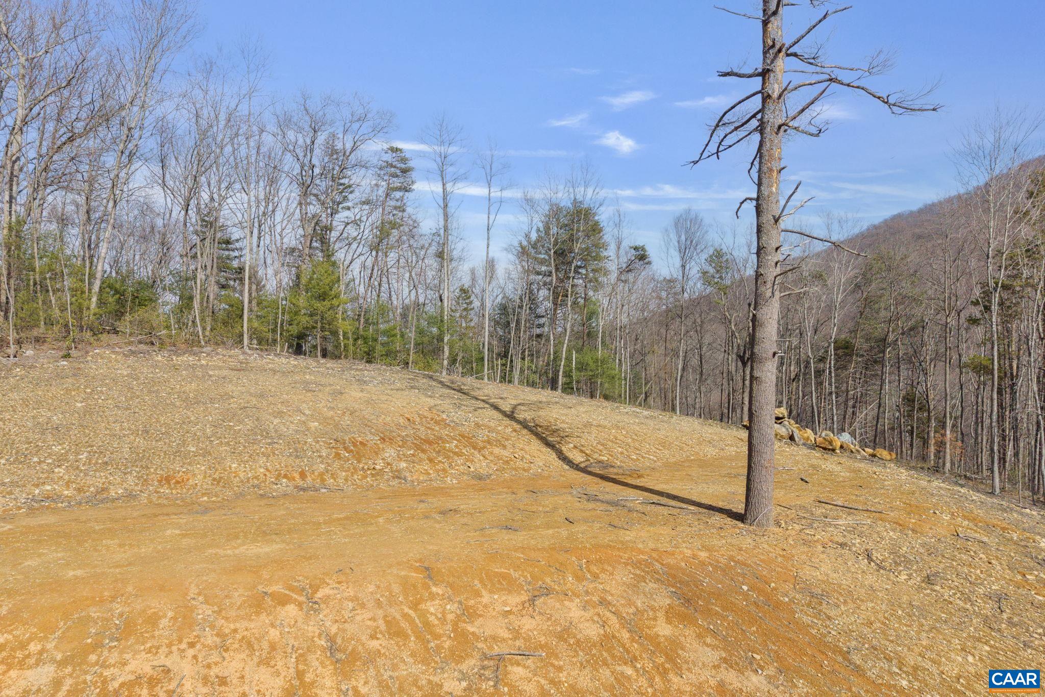 48 acres BLACKWELLS HOLLOW RD