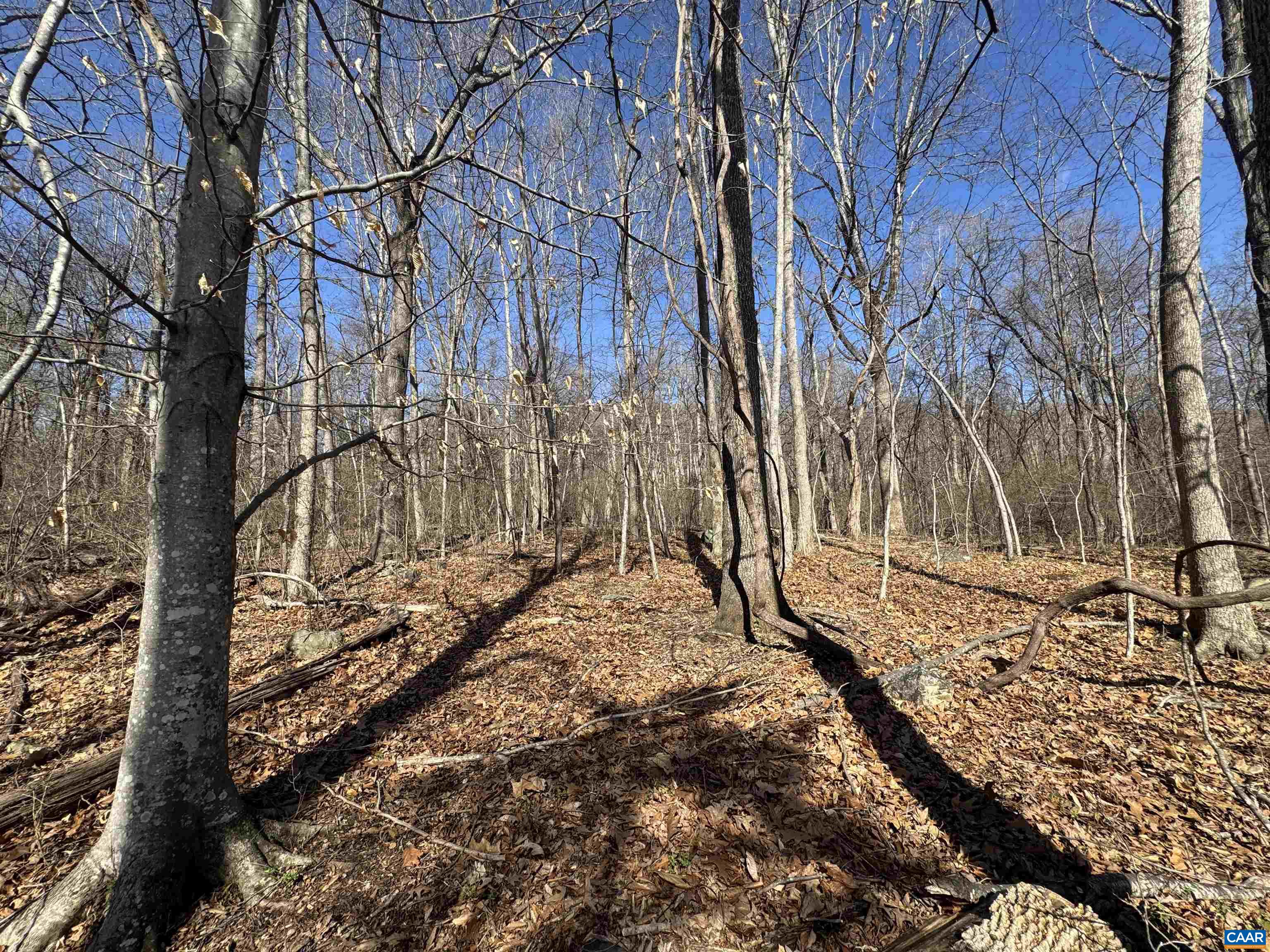Lot 33 MONOCAN DR