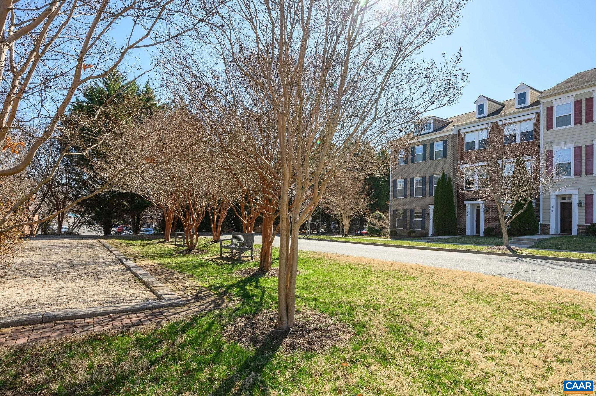 508 TULIP TREE CT