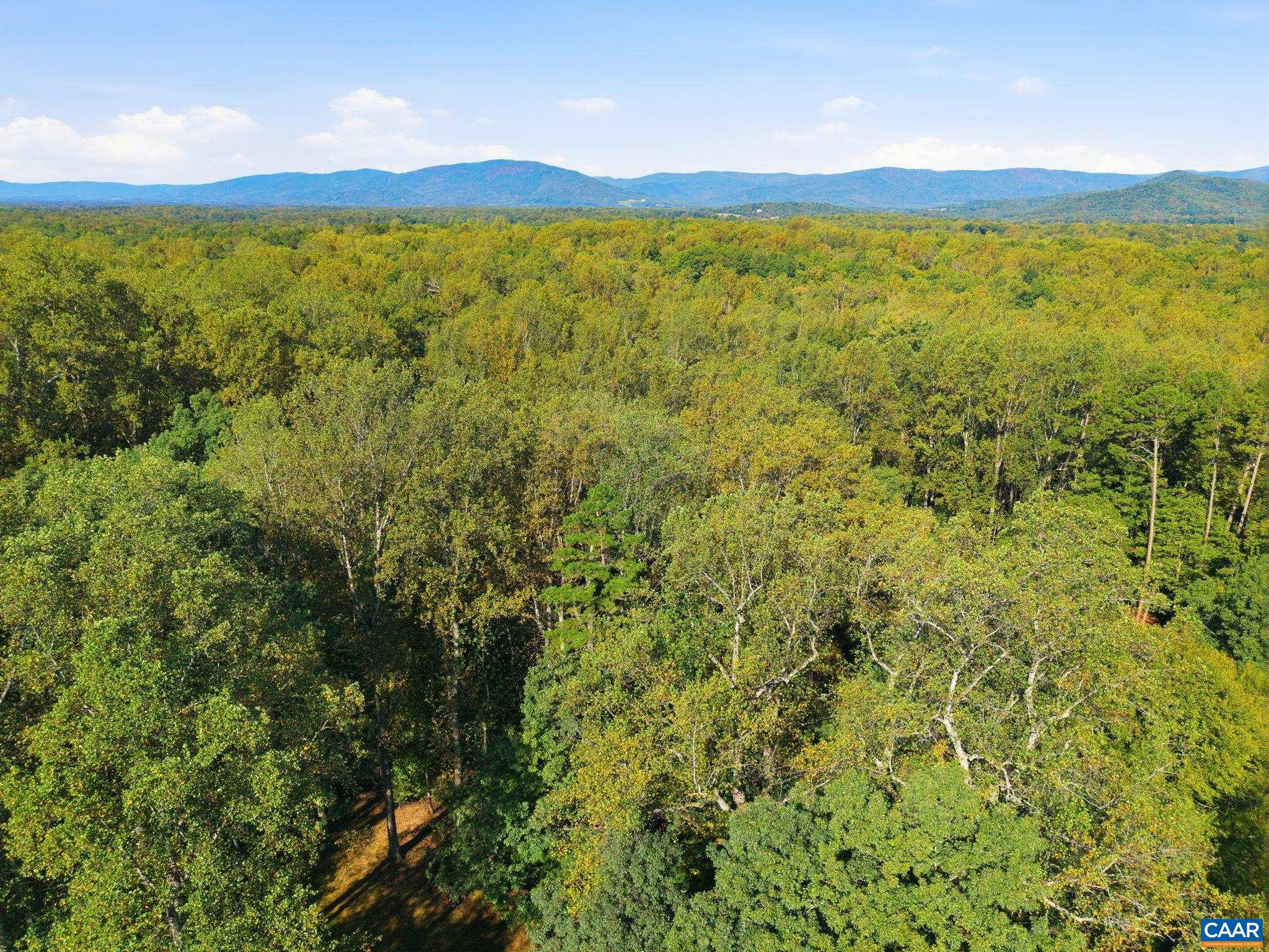 2404 PINE GARTH RUN