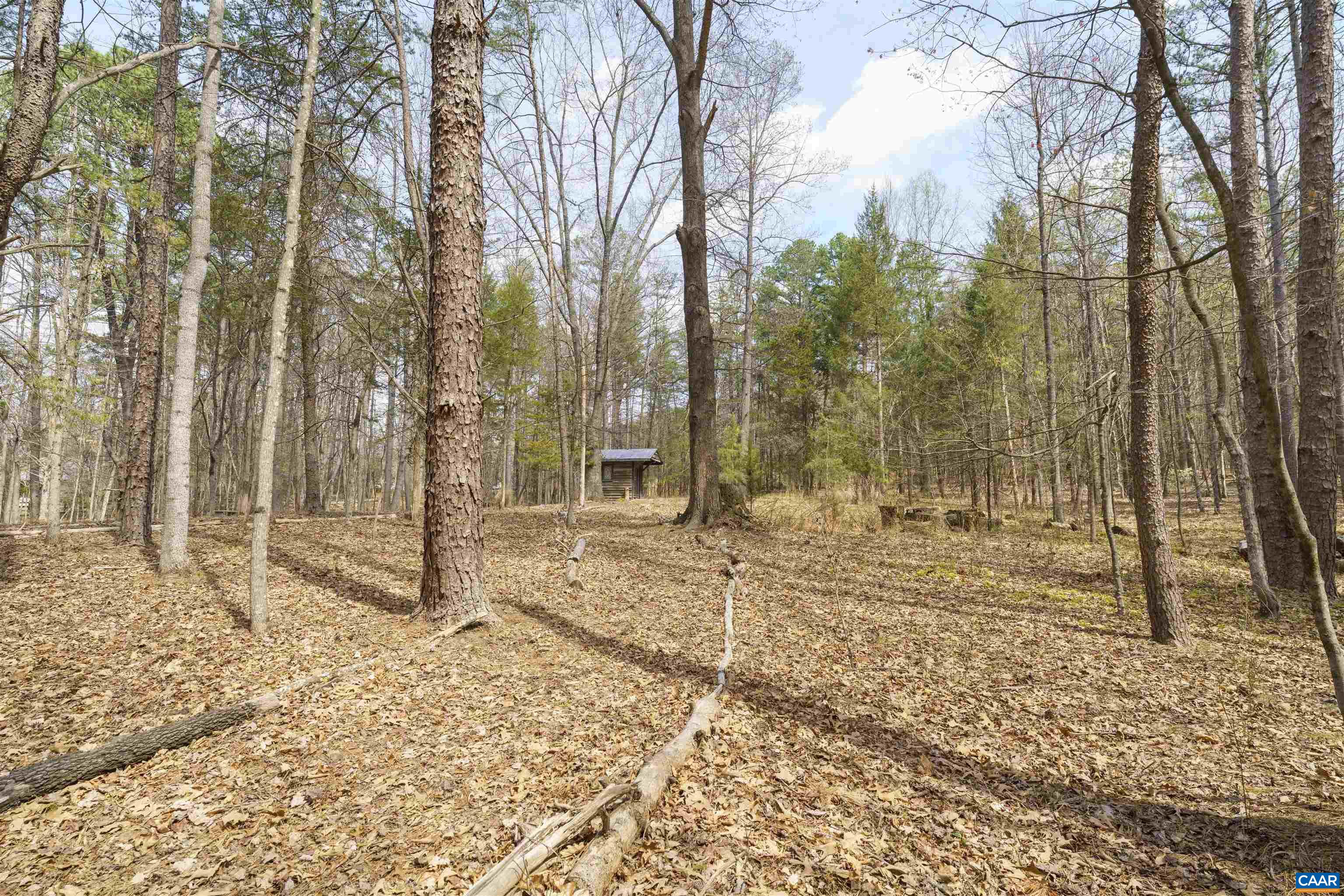 5695 FREE UNION RD