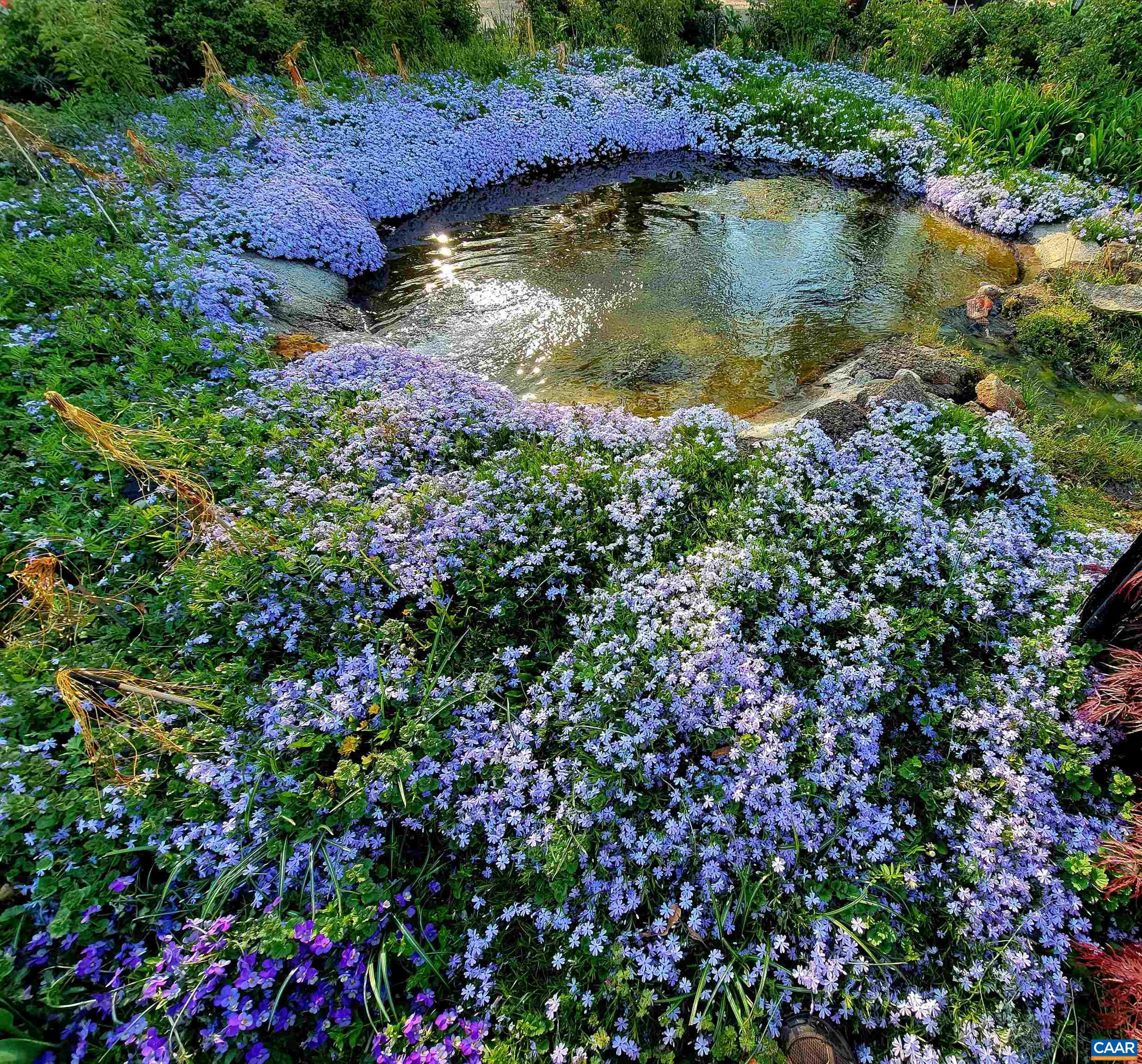 128 ROCKFISH ORCHARD DR