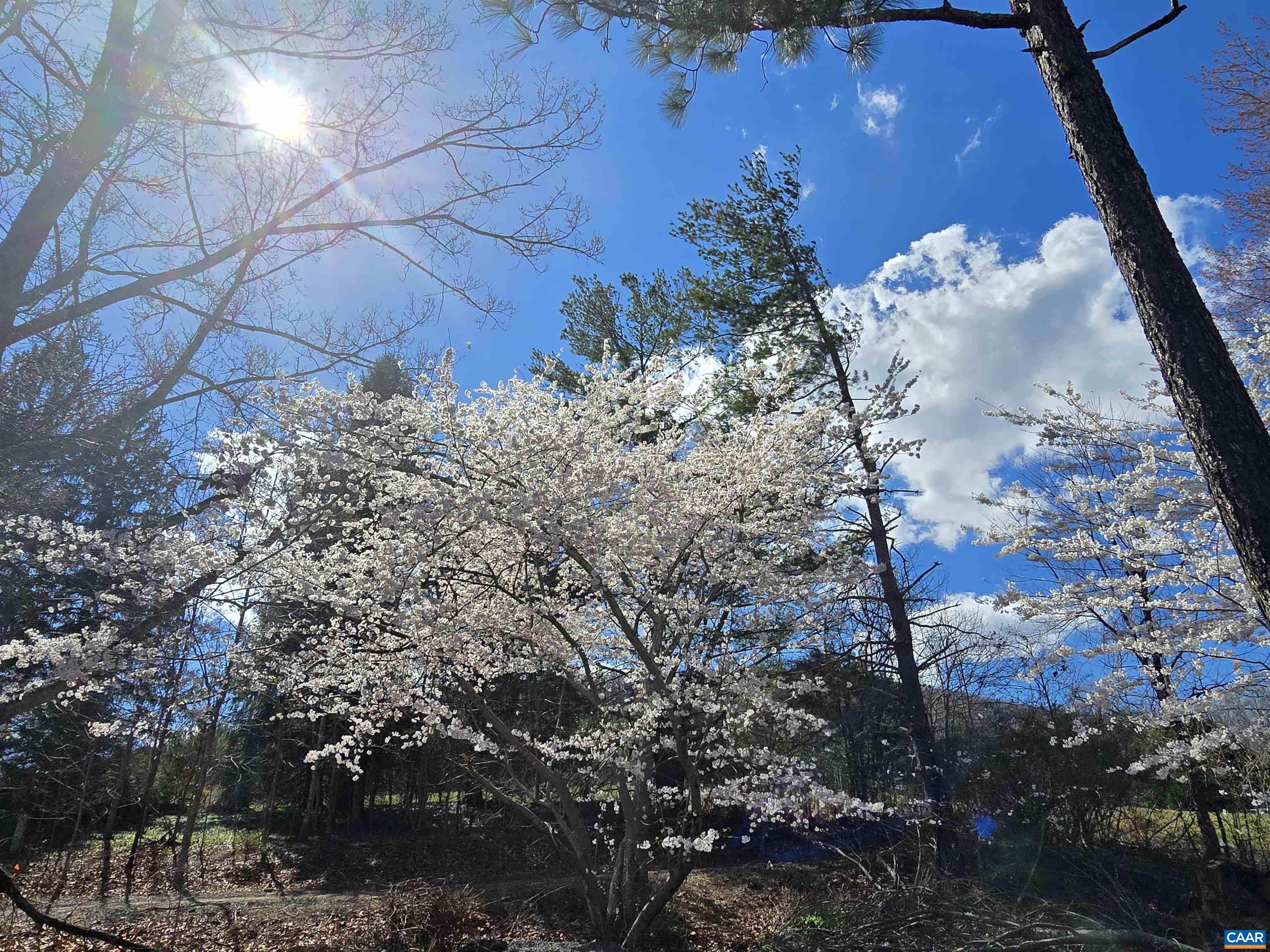 128 ROCKFISH ORCHARD DR