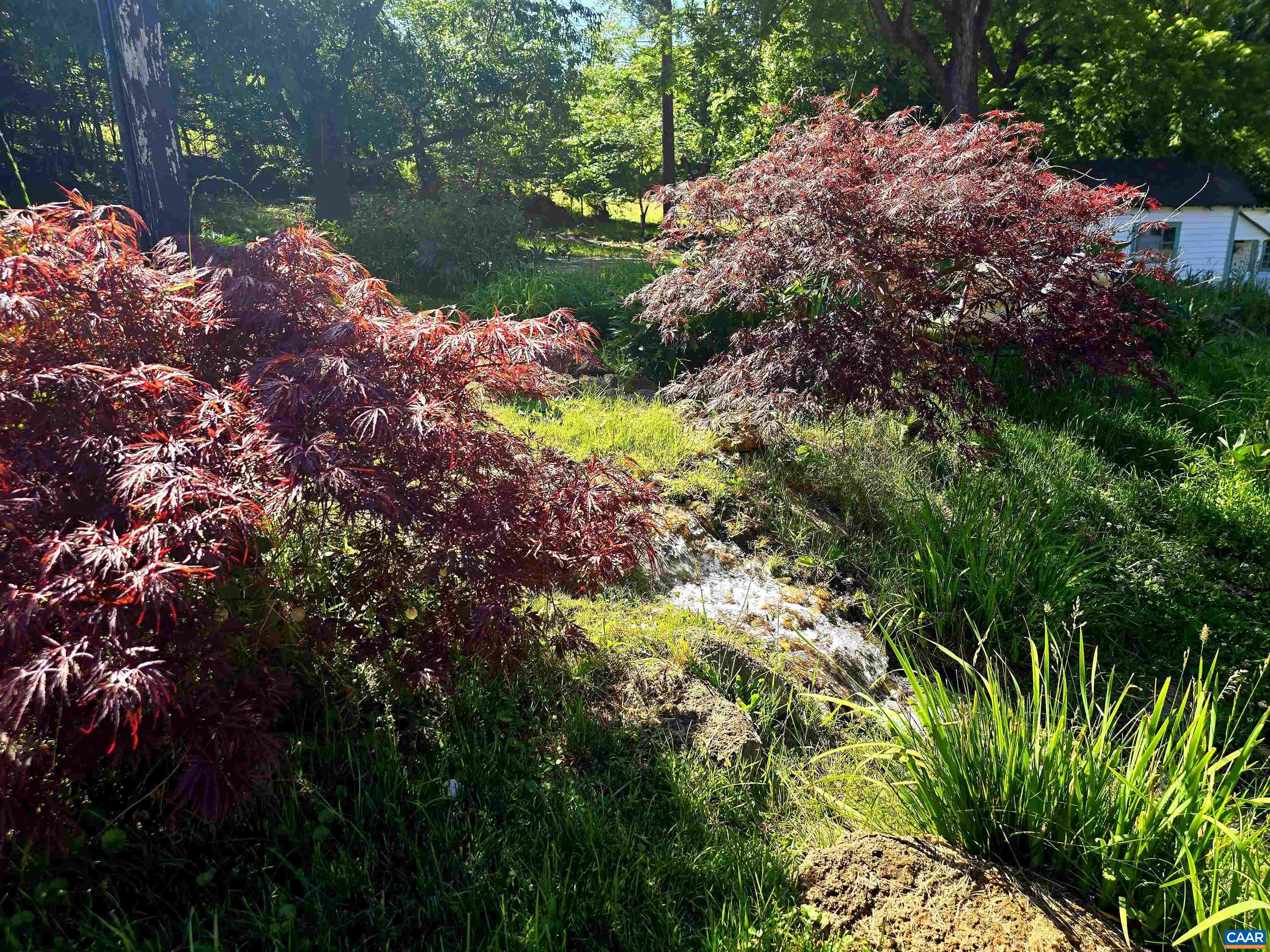 128 ROCKFISH ORCHARD DR