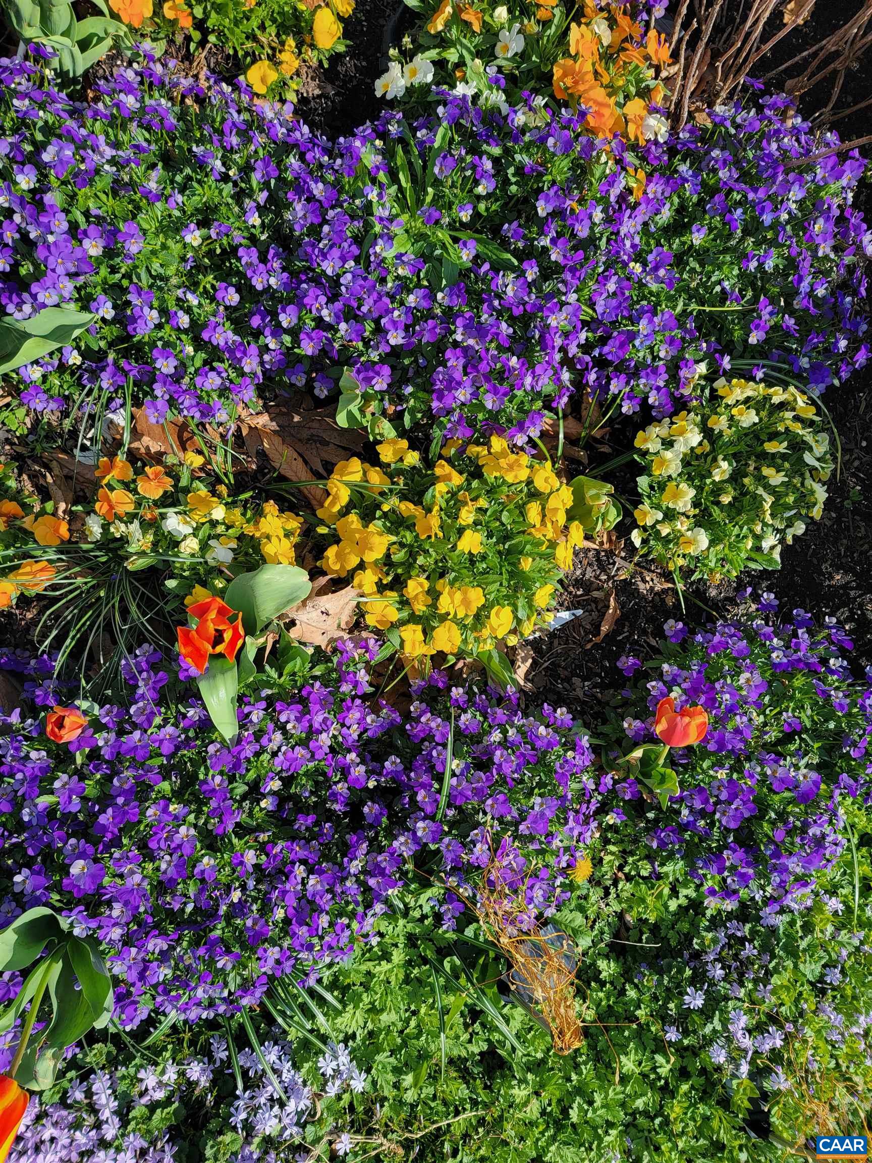 128 ROCKFISH ORCHARD DR