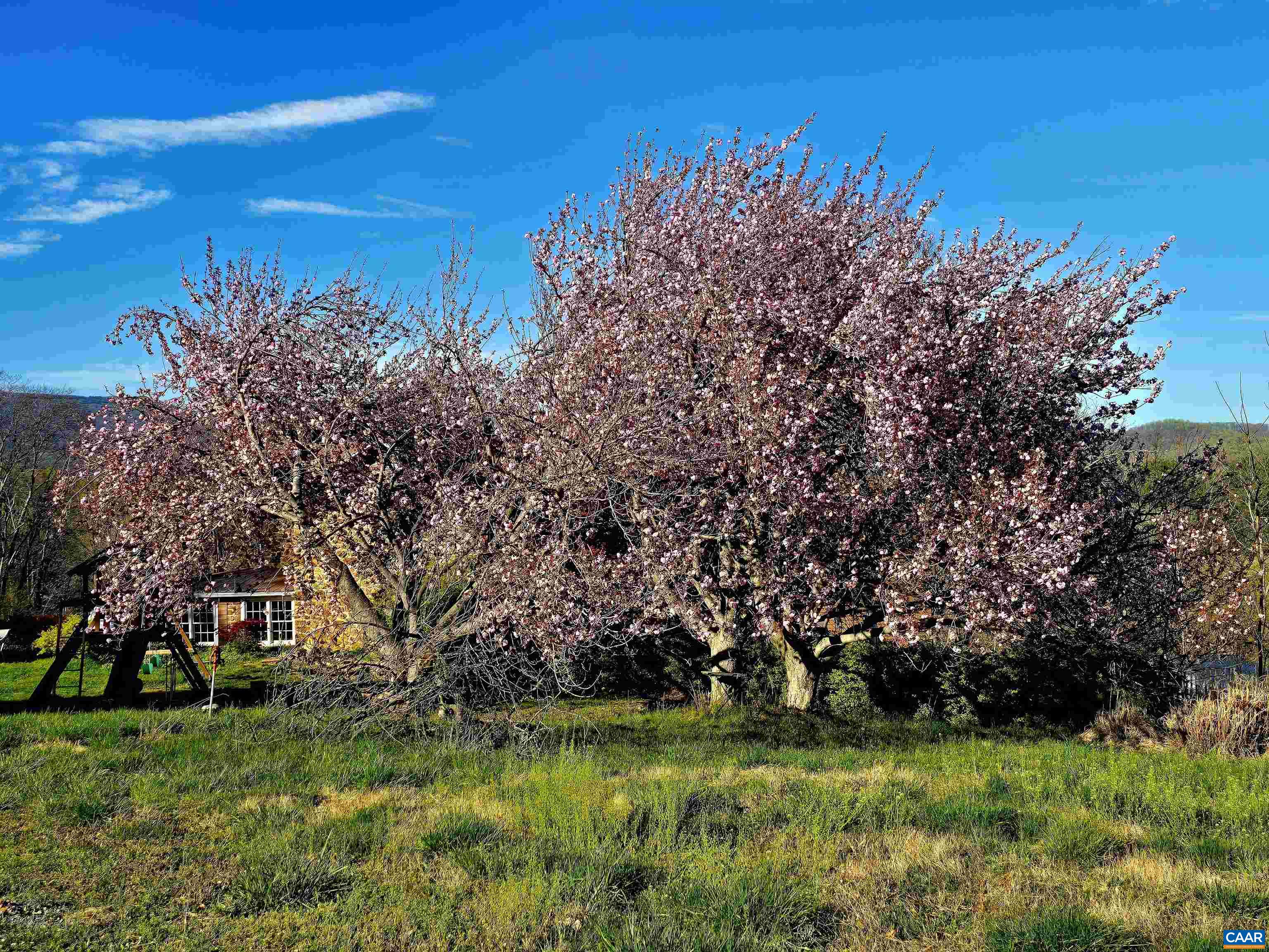 128 ROCKFISH ORCHARD DR