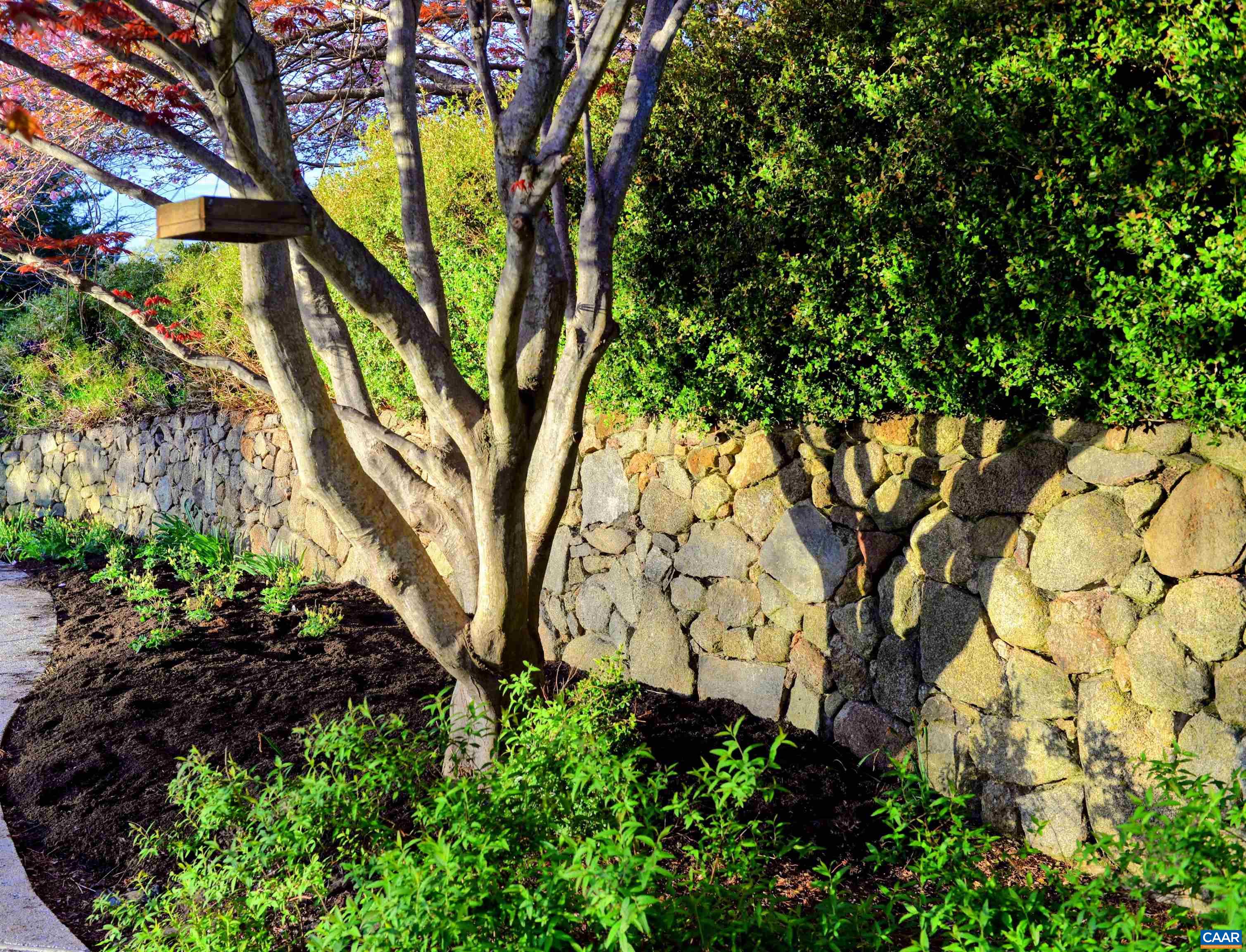 128 ROCKFISH ORCHARD DR