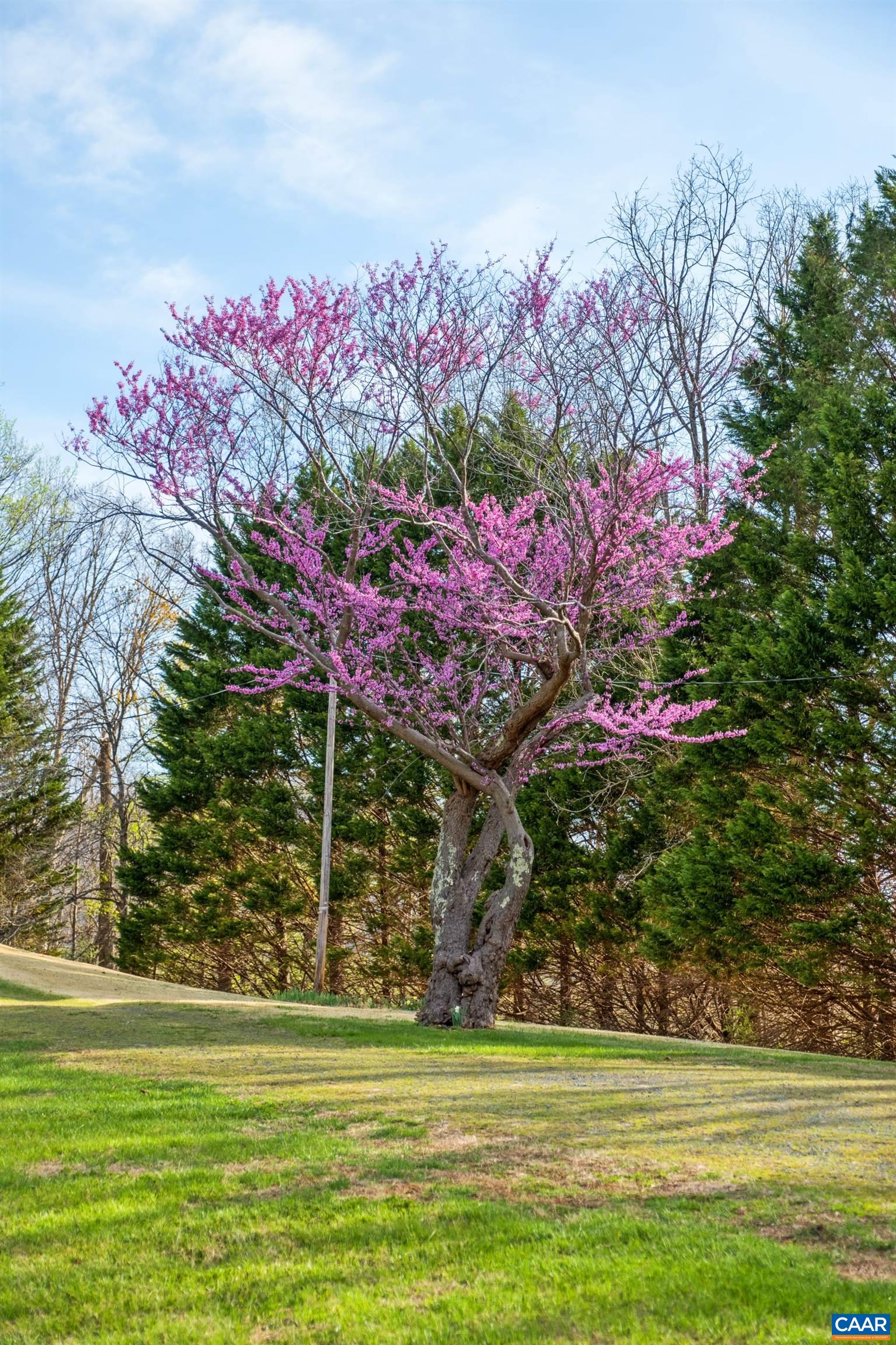 1165 FORTUNES COVE LN