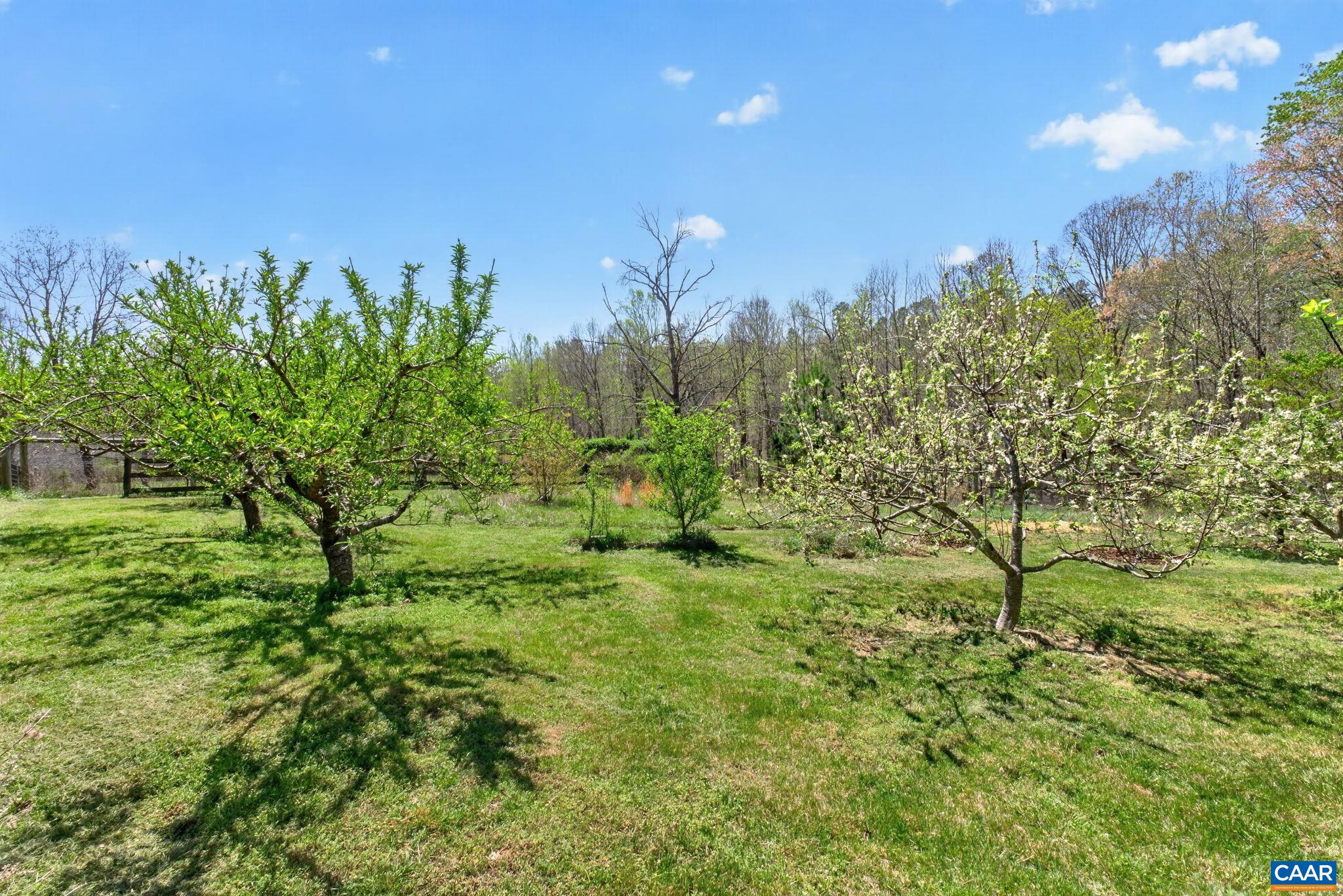 7087 DICK WOODS RD