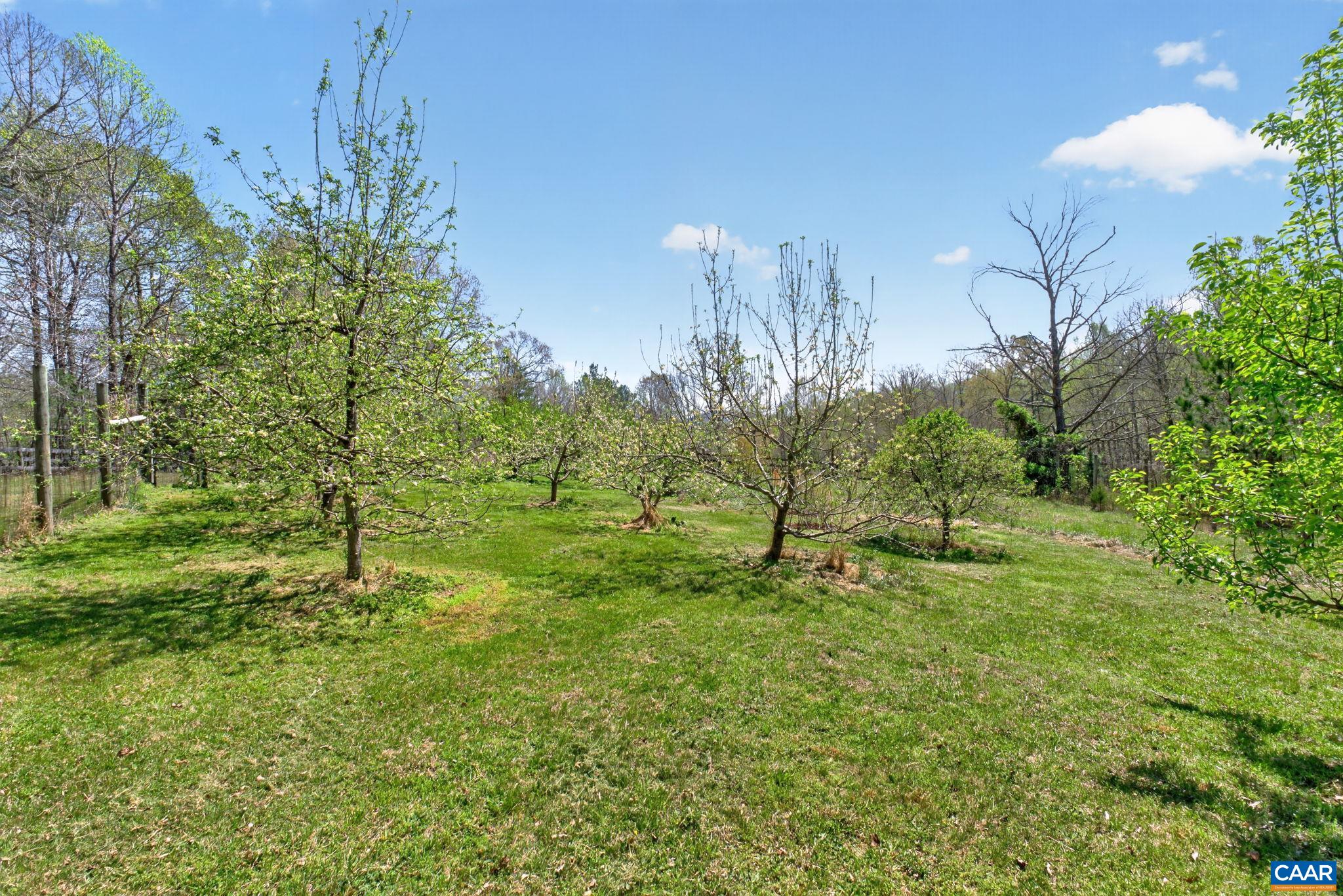 7087 DICK WOODS RD
