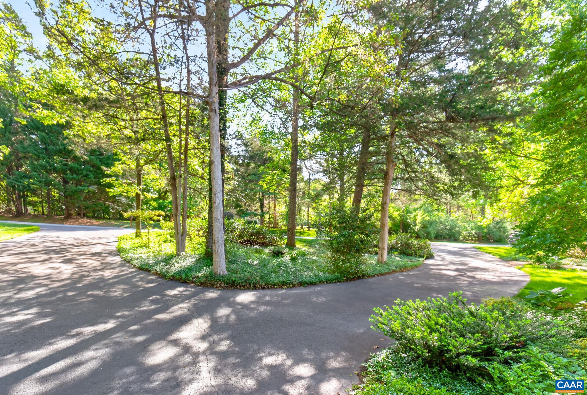 446 PEACOCK DR