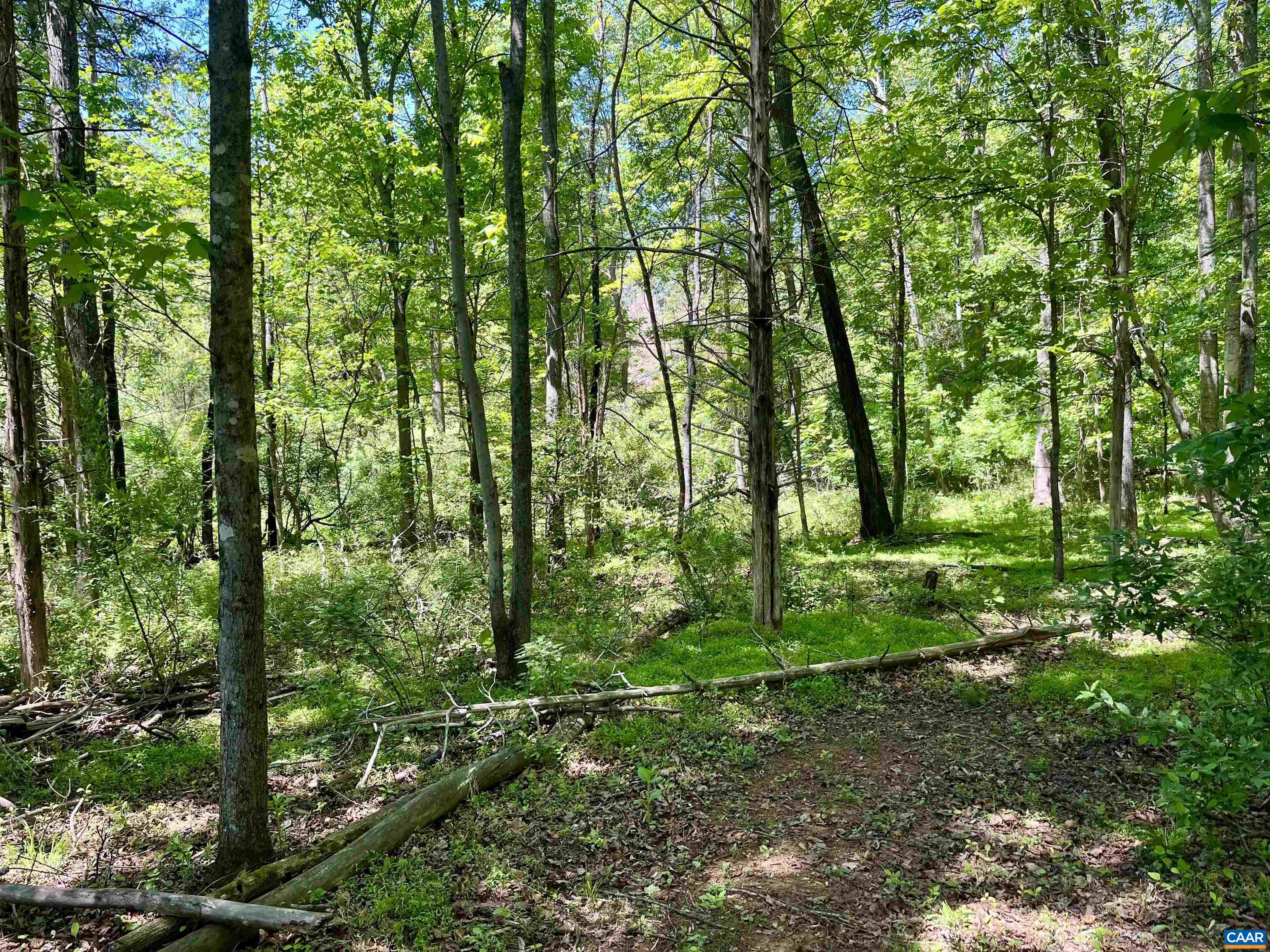 1300 WEST LEIGH DR