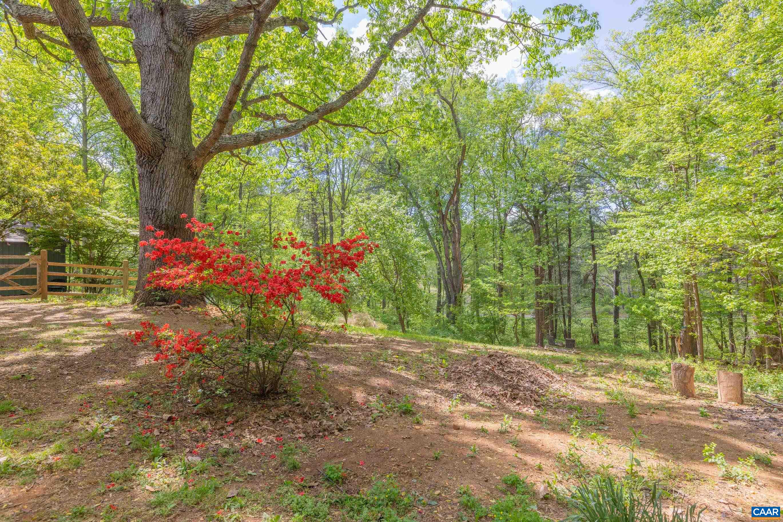 826 BEAGLE GAP RD