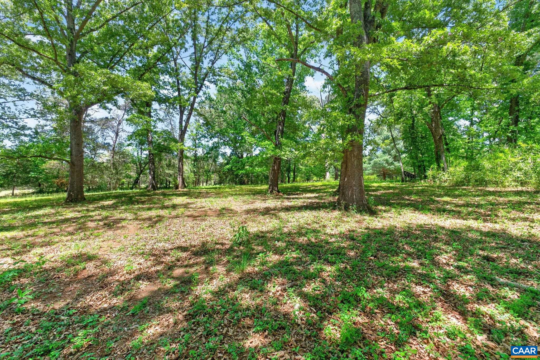 4362 IVY RD