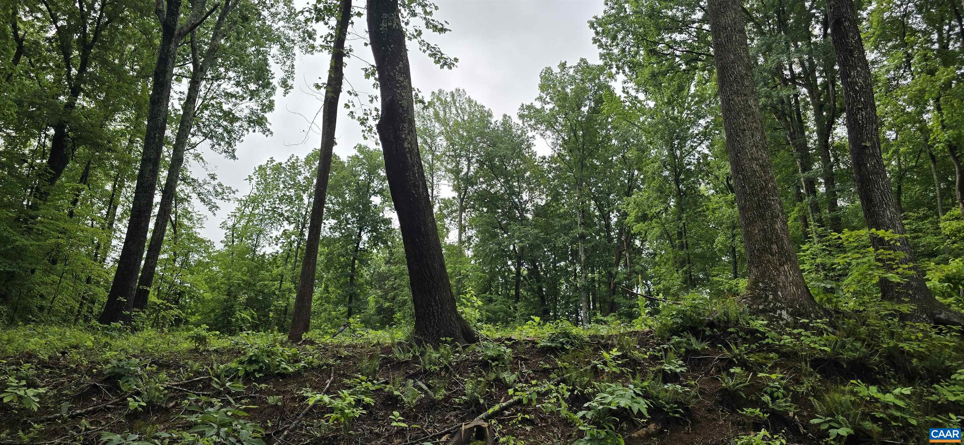 Lot 26 LAKE POINTE CT