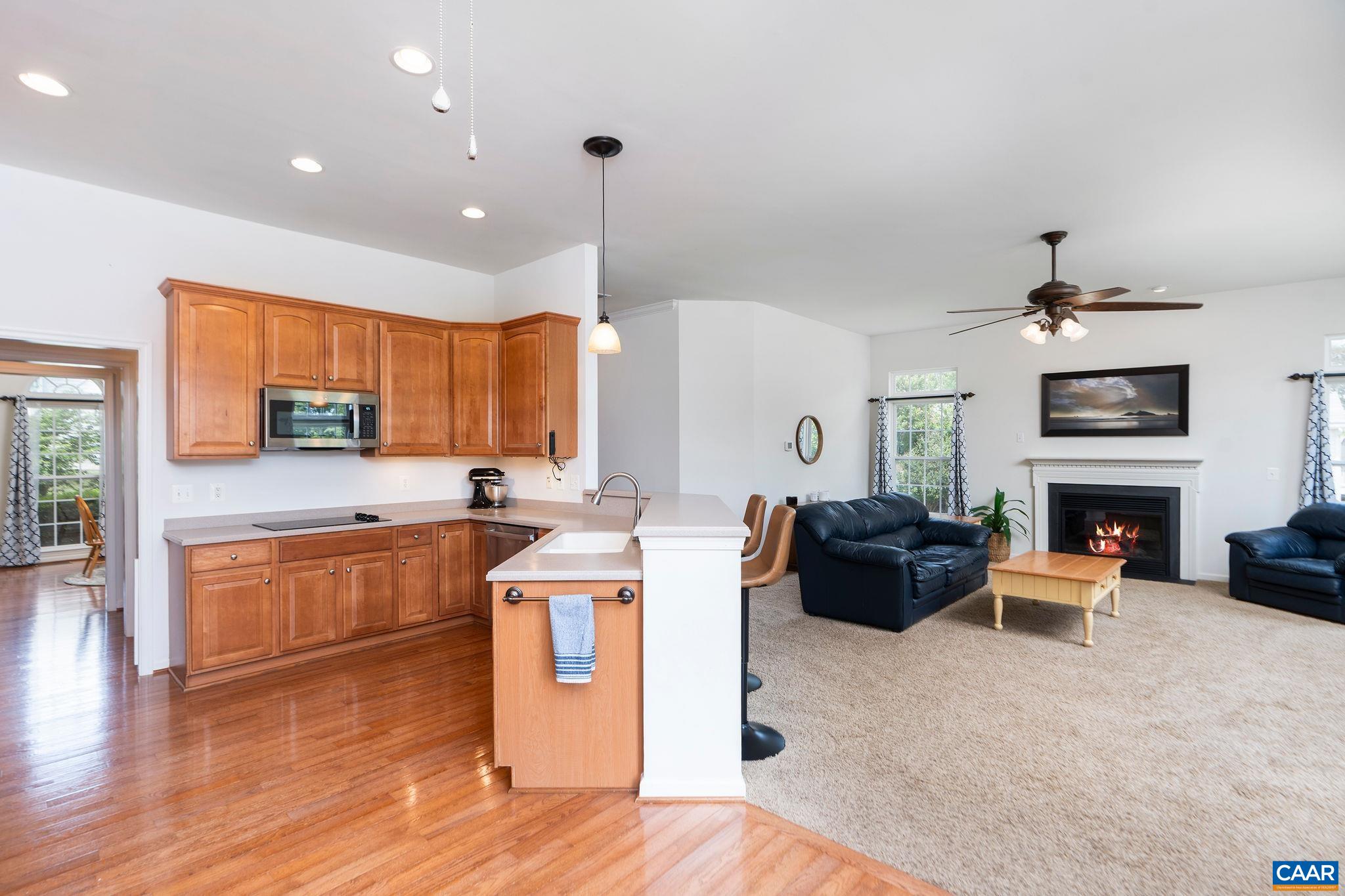 10182 SPRING DR