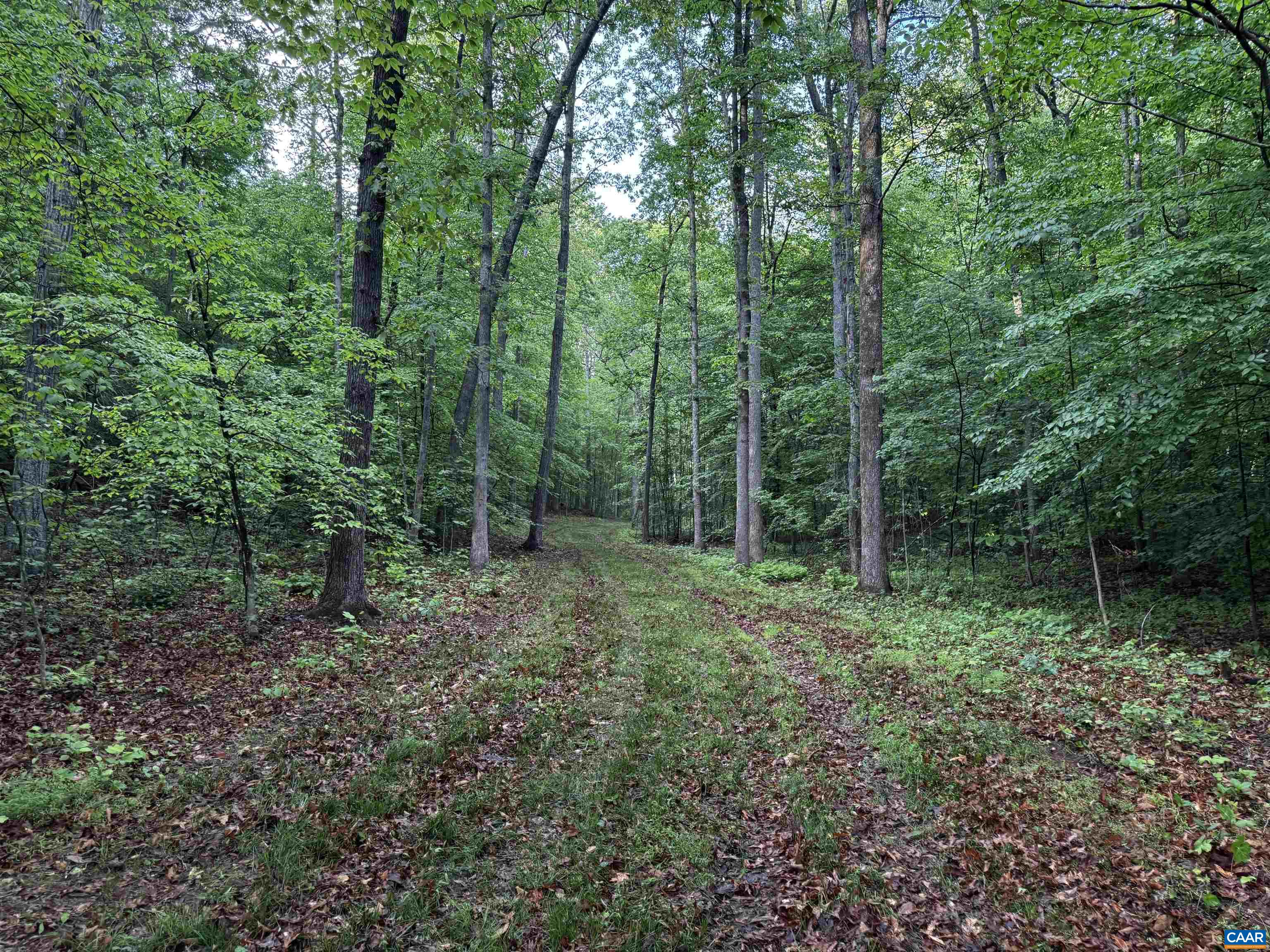 0 FREDERICKSBURG RD