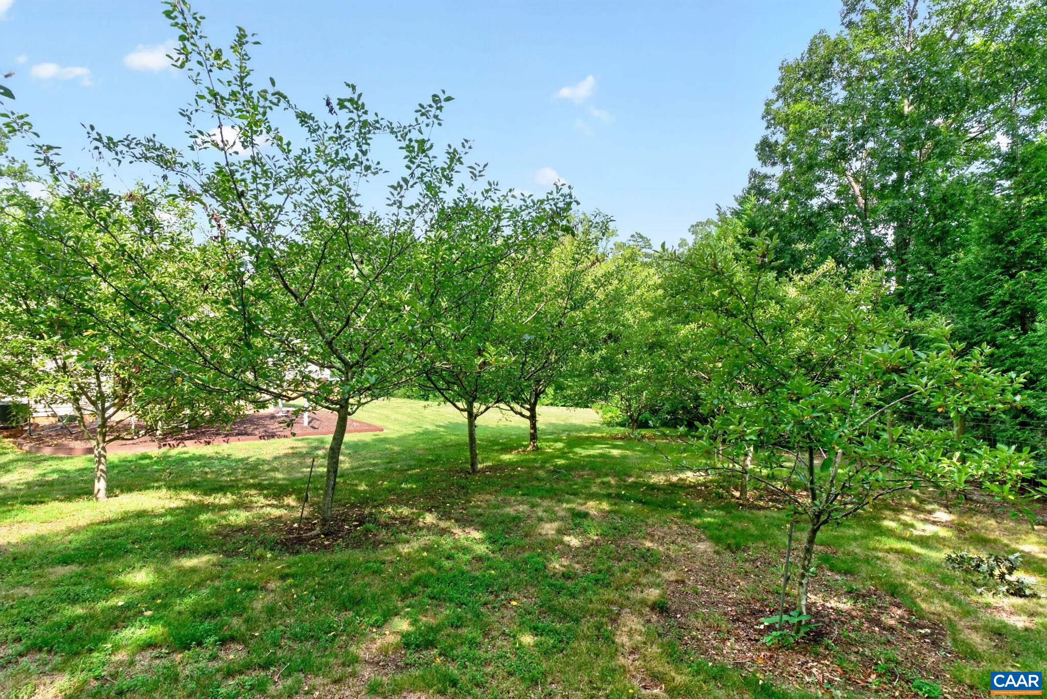 1558 RIDGEWAY DR