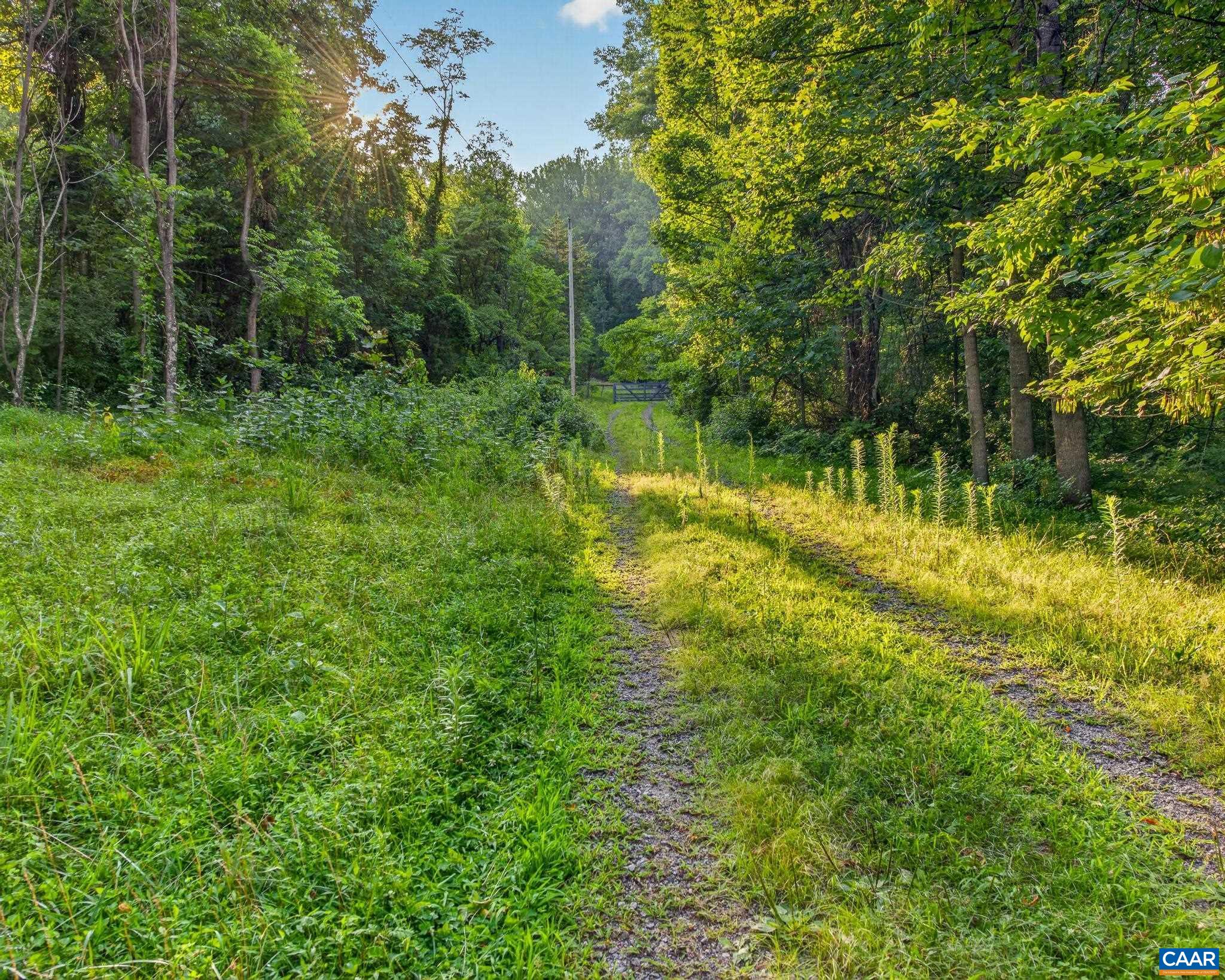 329 JONES MOUNTAIN RD