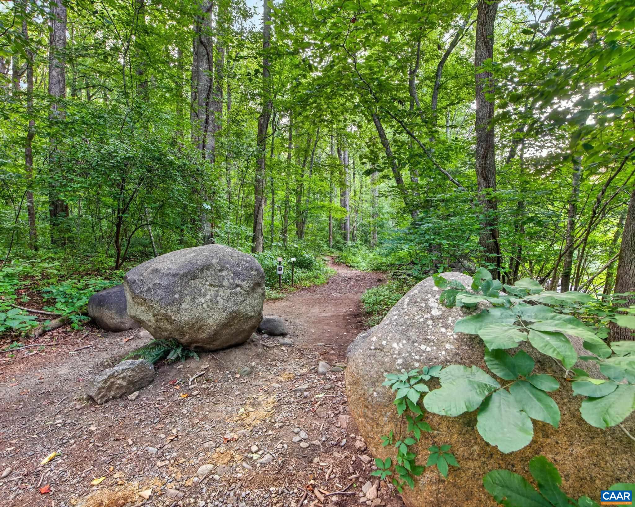 329 JONES MOUNTAIN RD