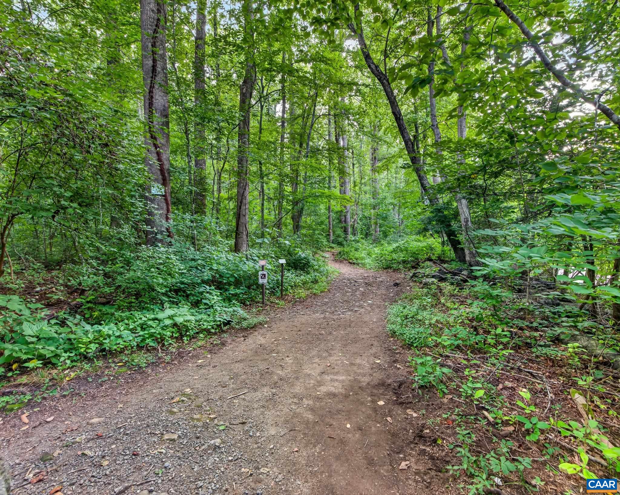 329 JONES MOUNTAIN RD