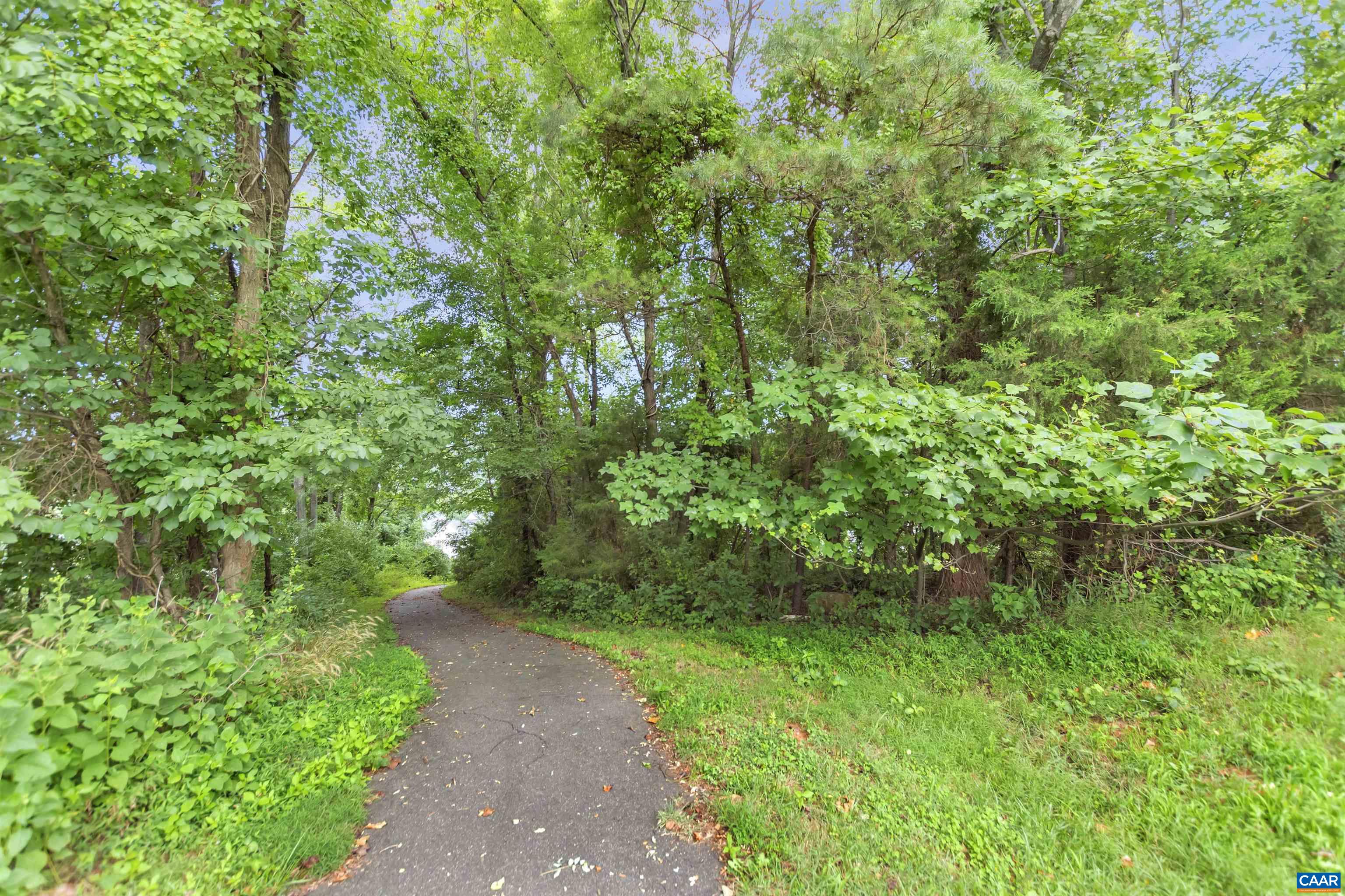 2298 WHITTINGTON DR