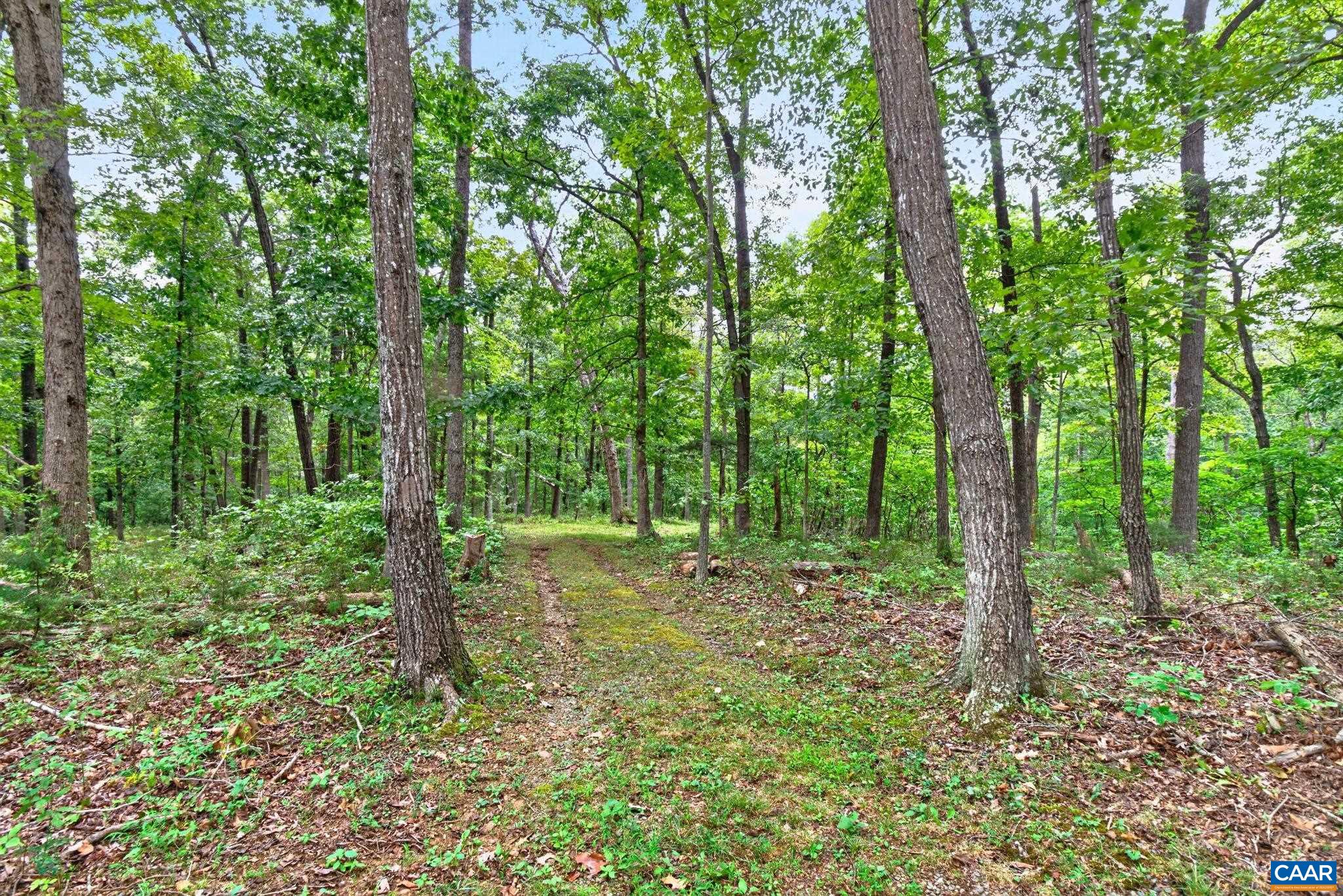 2483 POPLAR DR