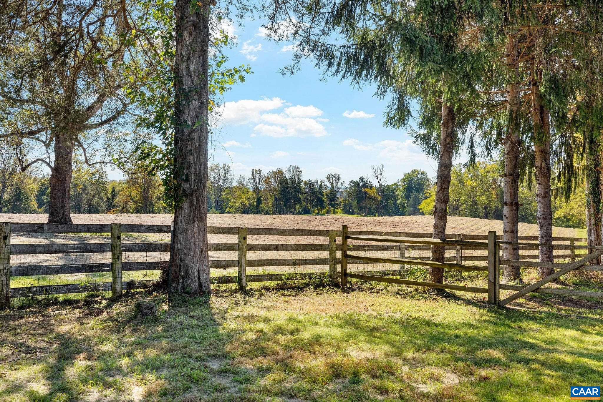345 FOREST RIDGE RD