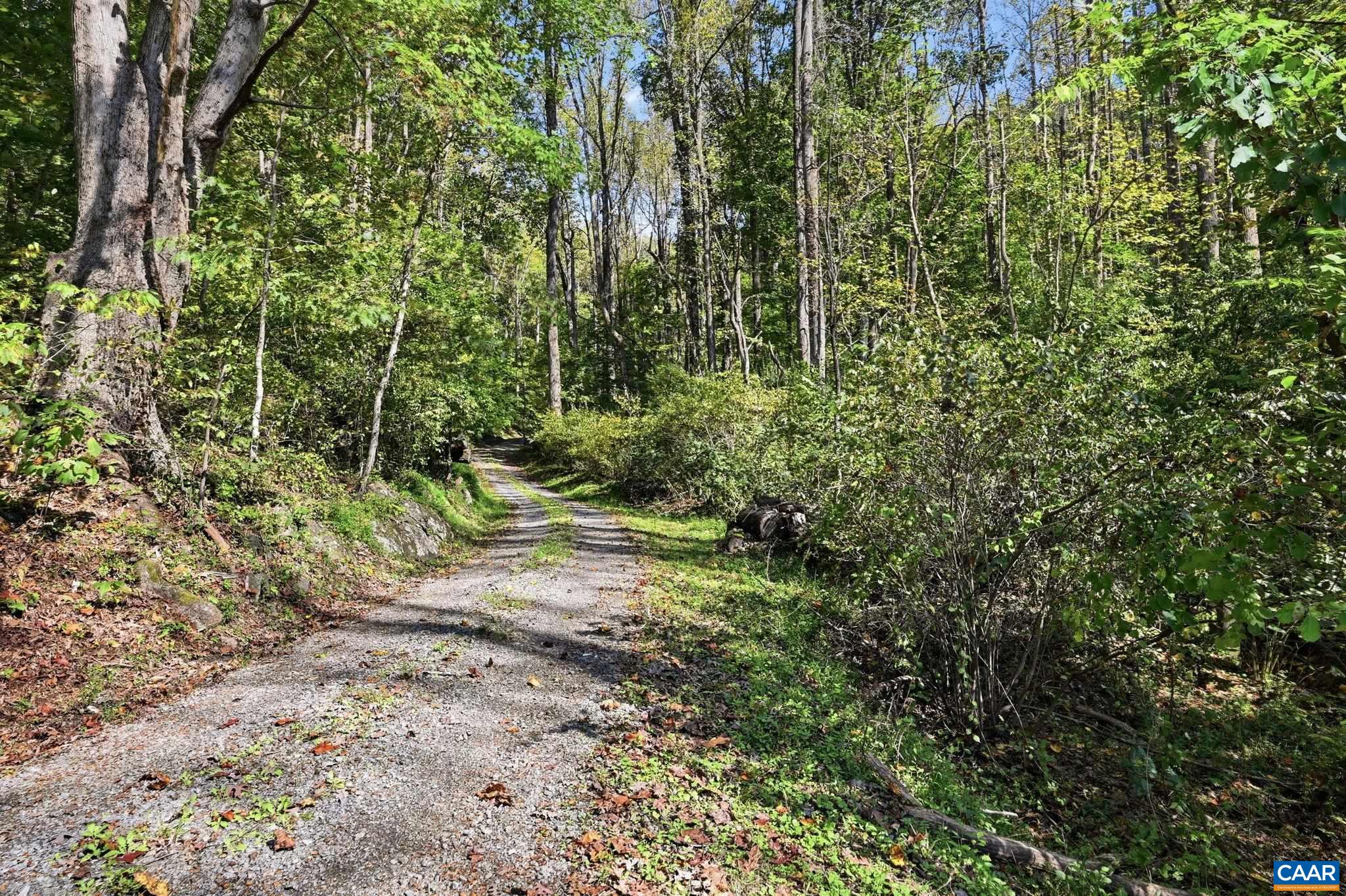 1956 LOCUST HOLLOW RD