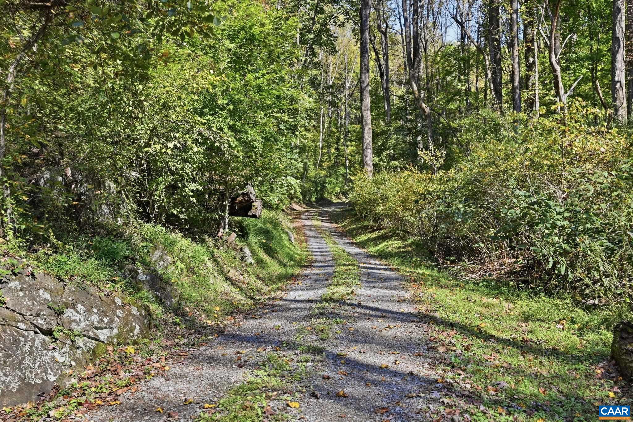 1956 LOCUST HOLLOW RD