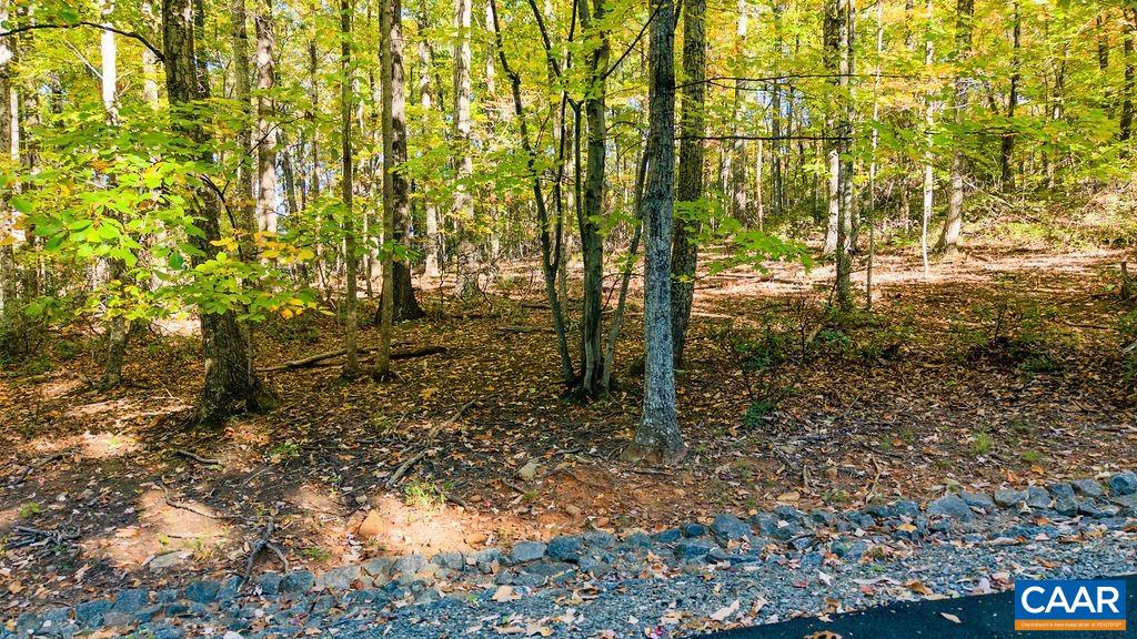 Lot 3 OAKCREST LN