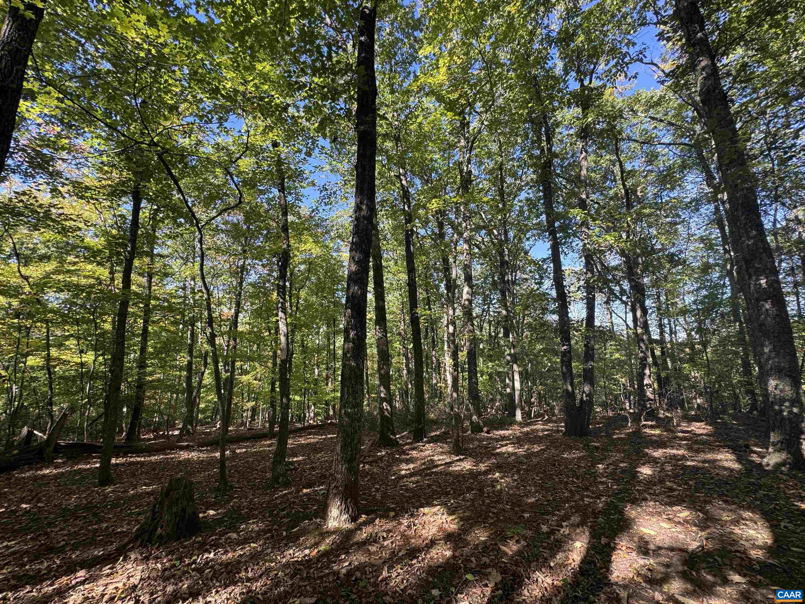 Lot 3 OAKCREST LN