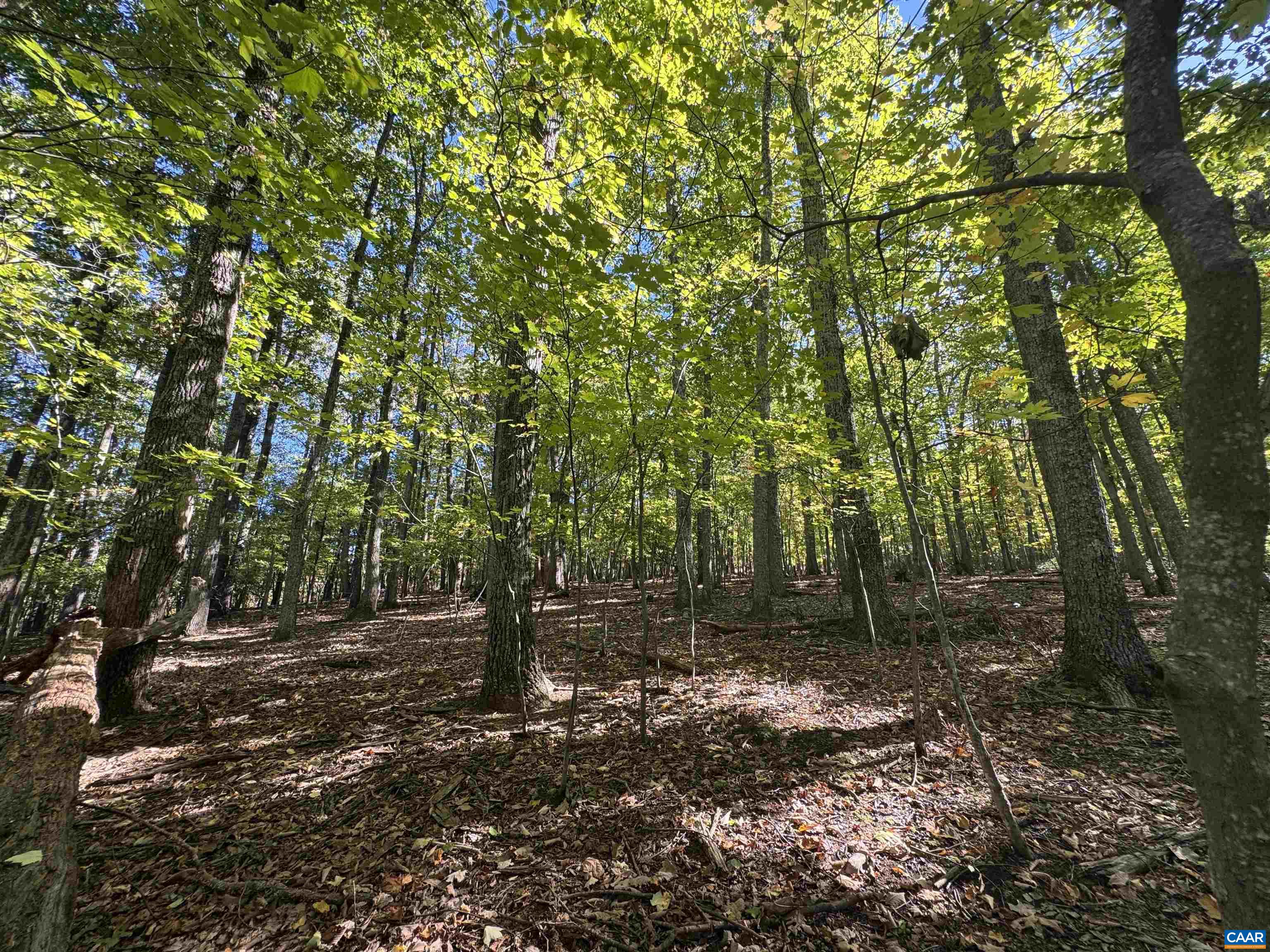 Lot 3 OAKCREST LN